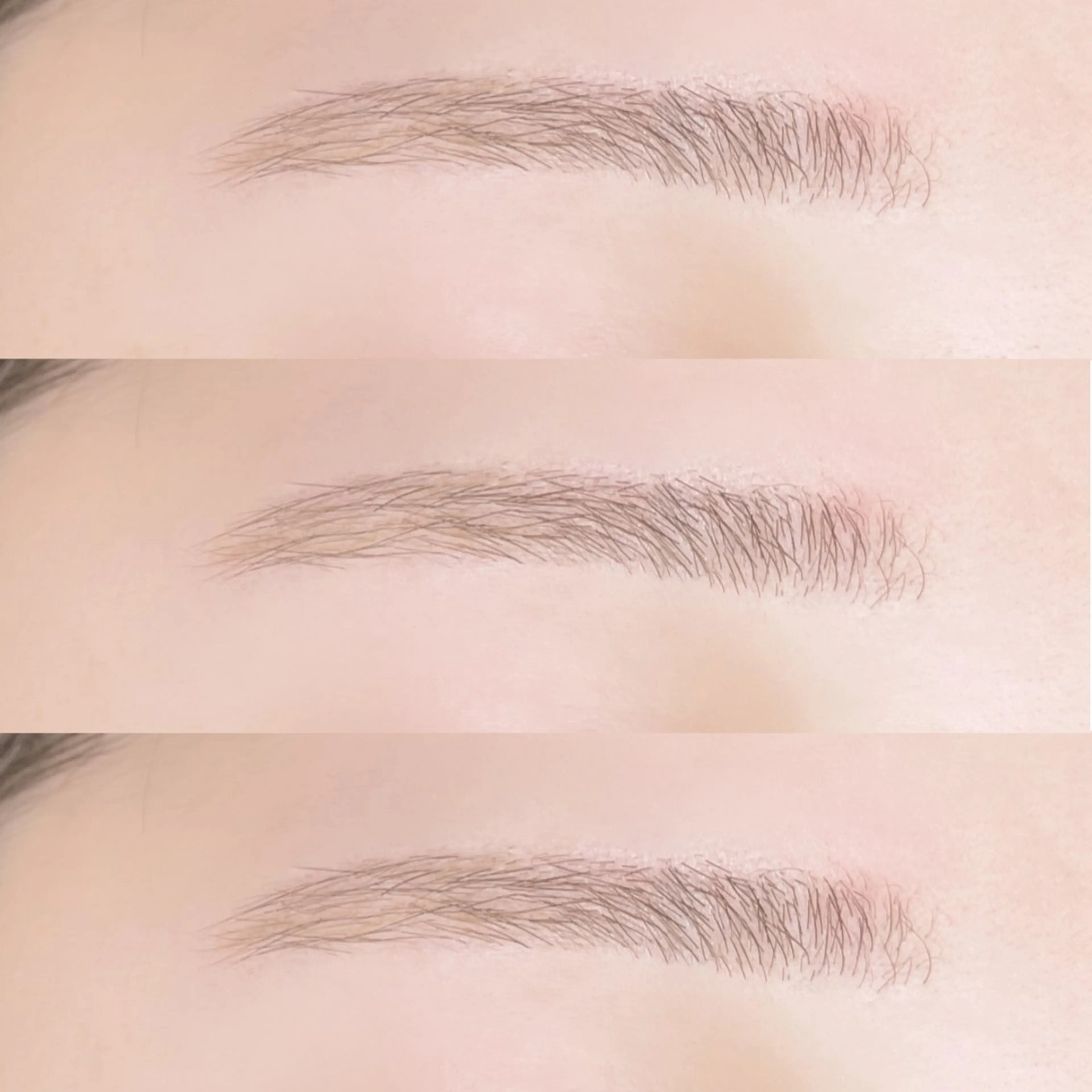 アイブロウ(間引きなし)の写真