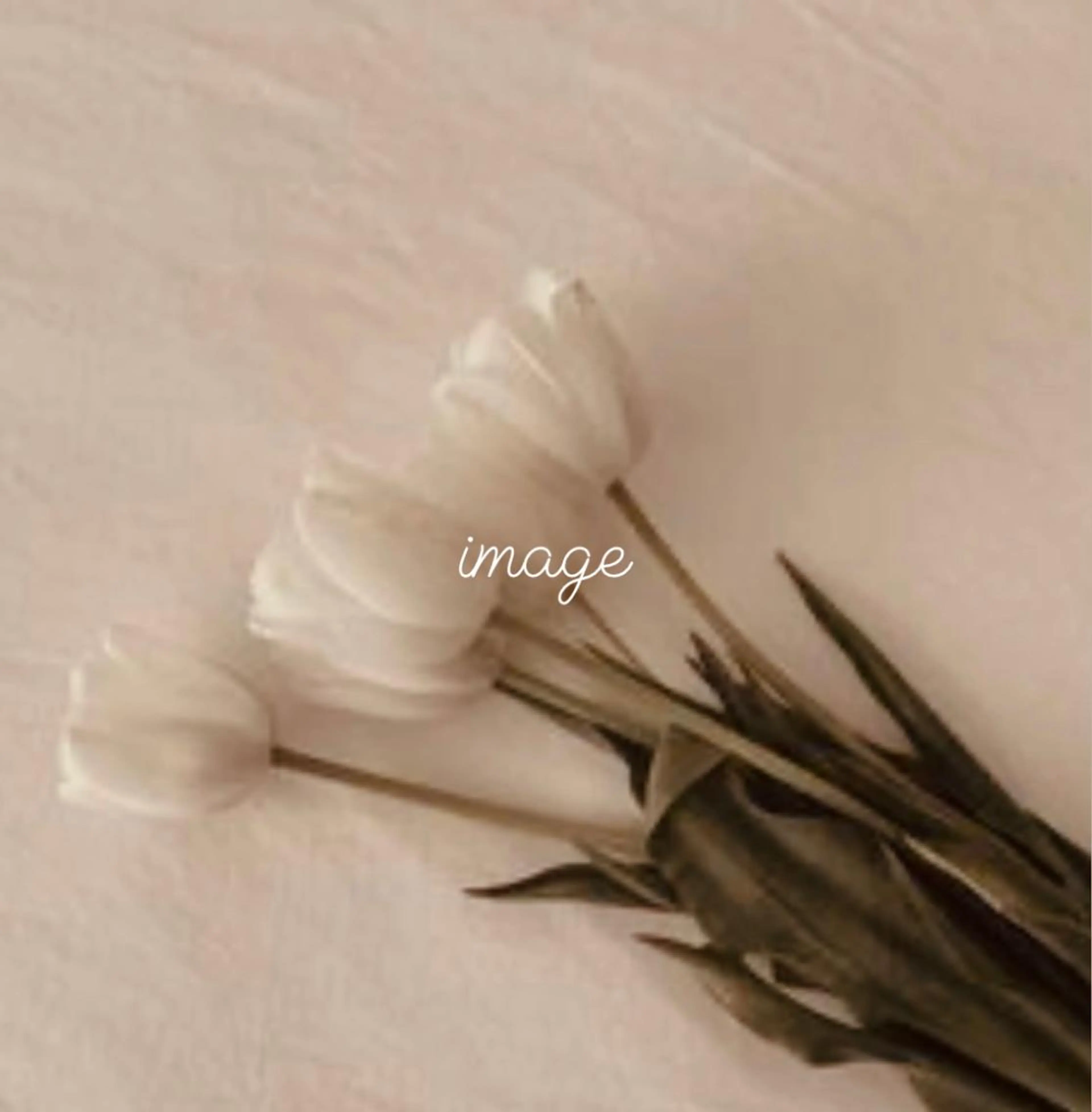 🌙透明感カラー／ 丁寧施術｜松本のヘアスタイル