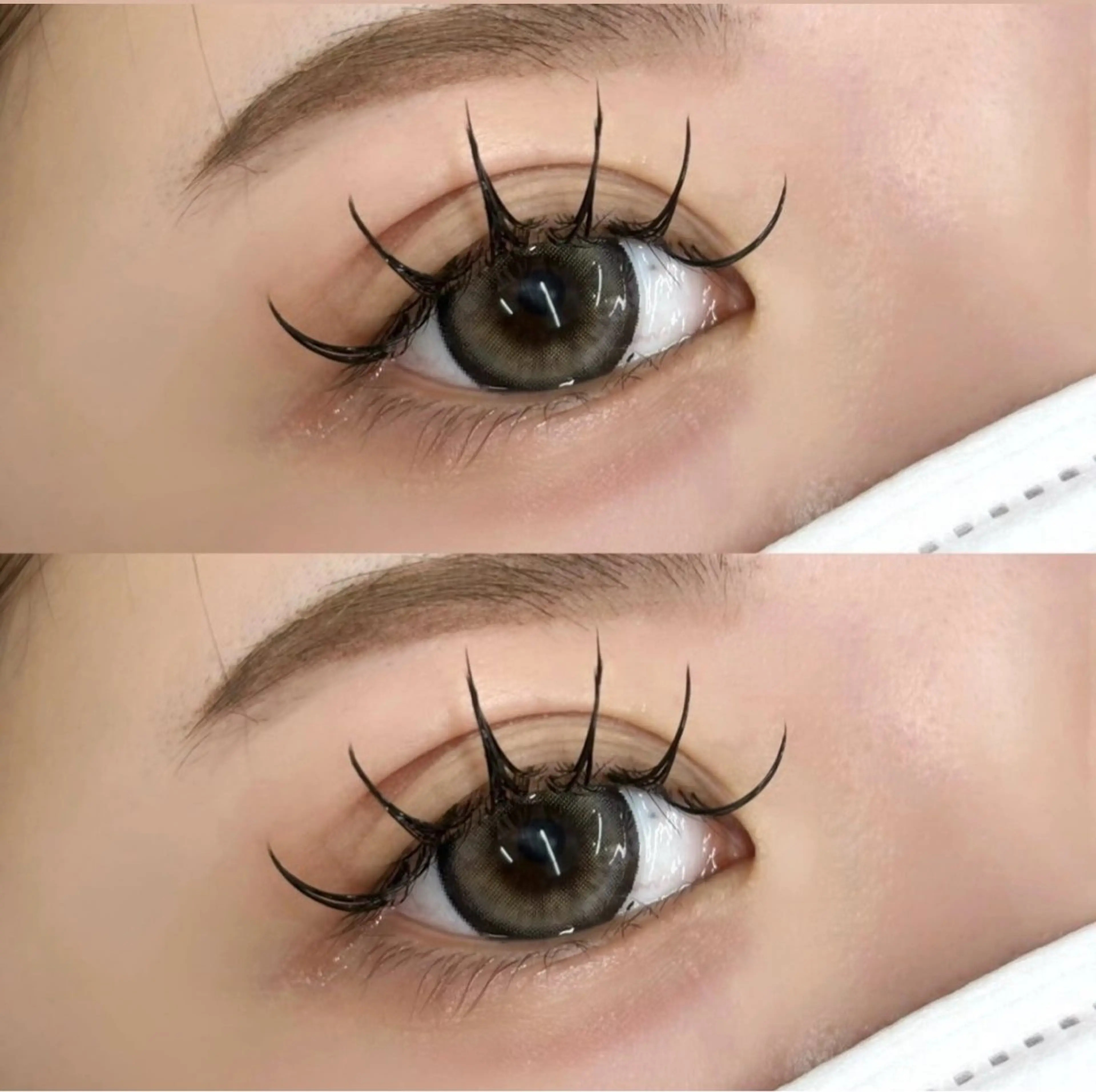 バインドロック(タブルフラット) 80束🎀の写真