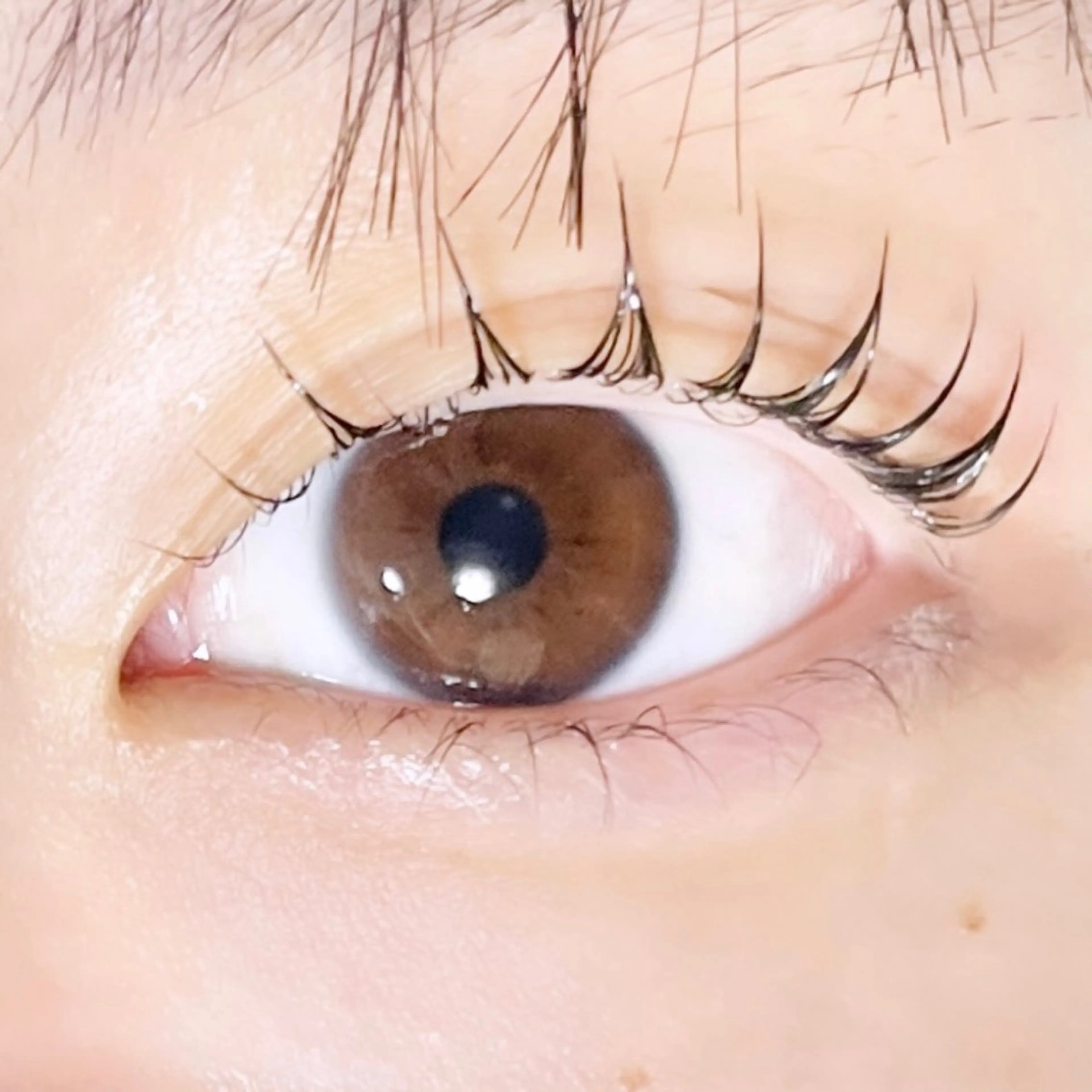 マツエク・マツパ TAKEO🖤 マリーテレジア藤が丘のマツエク・マツパデザイン