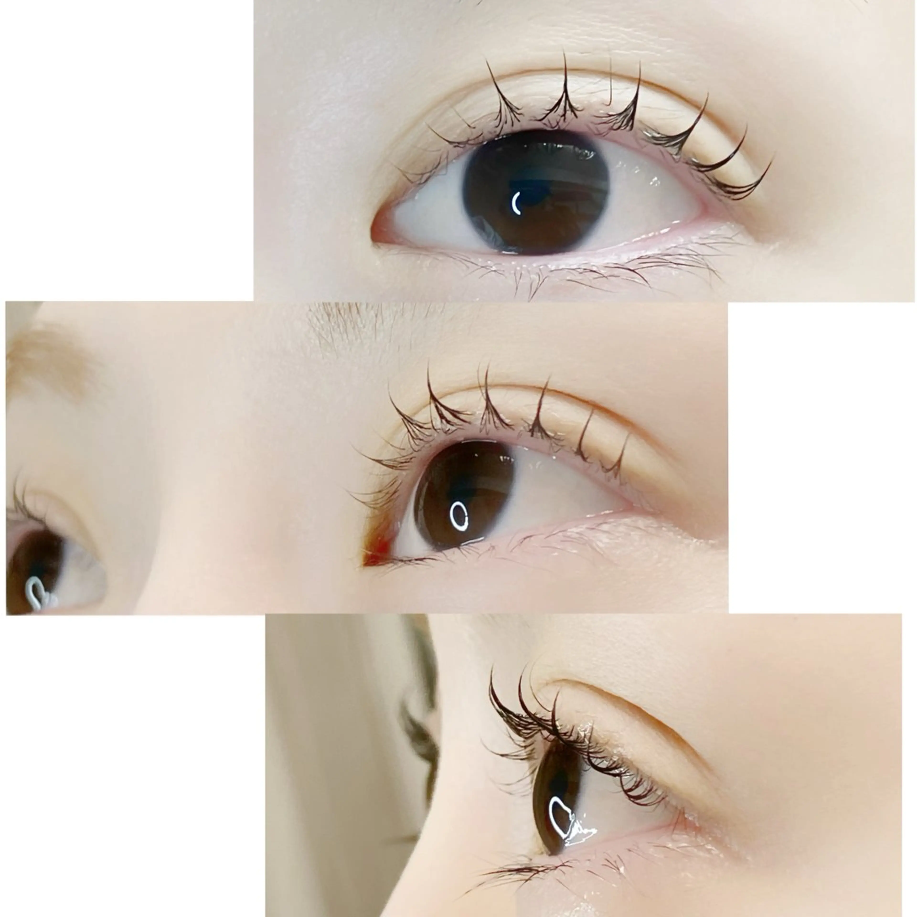 マツエク・マツパ マツパ MAHALO 𓆉の眉毛・アイブロウイメージ