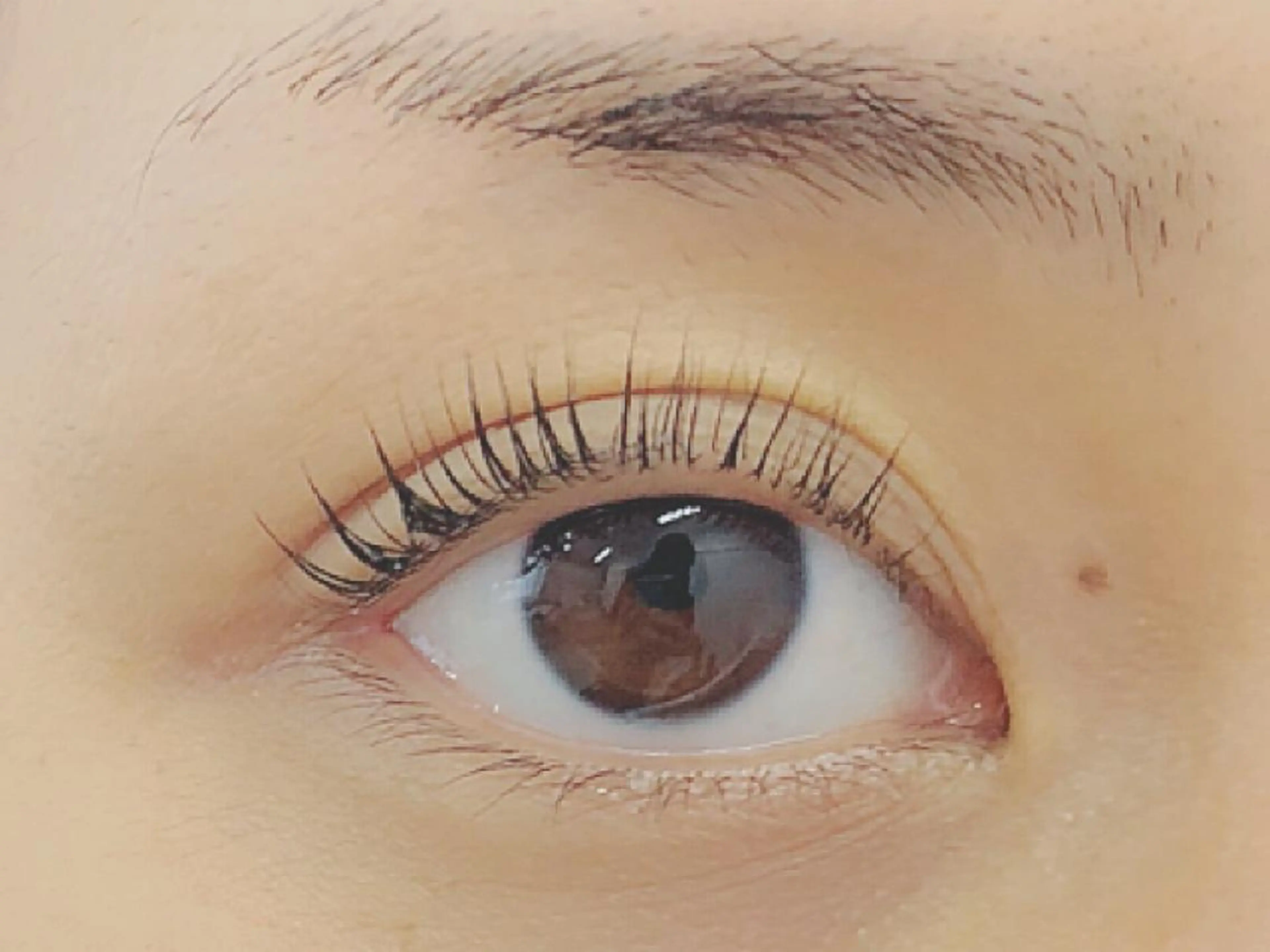 マツエク・マツパ 一重×まつ毛パーマ 藤澤 麻梨奈のマツエク・マツパデザイン