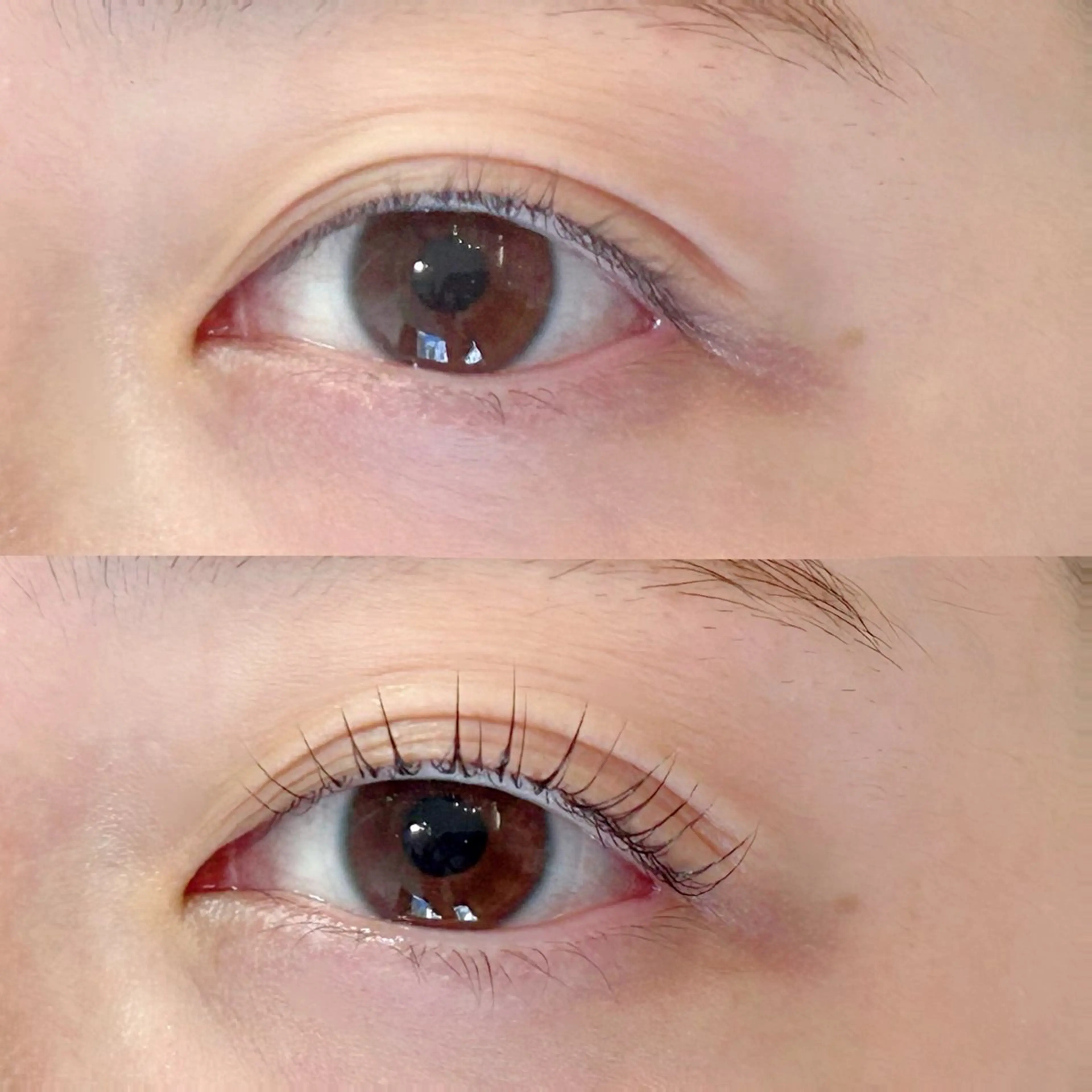 マツエク・マツパ マツパ Frances Miyamotoのマツエク・マツパデザイン