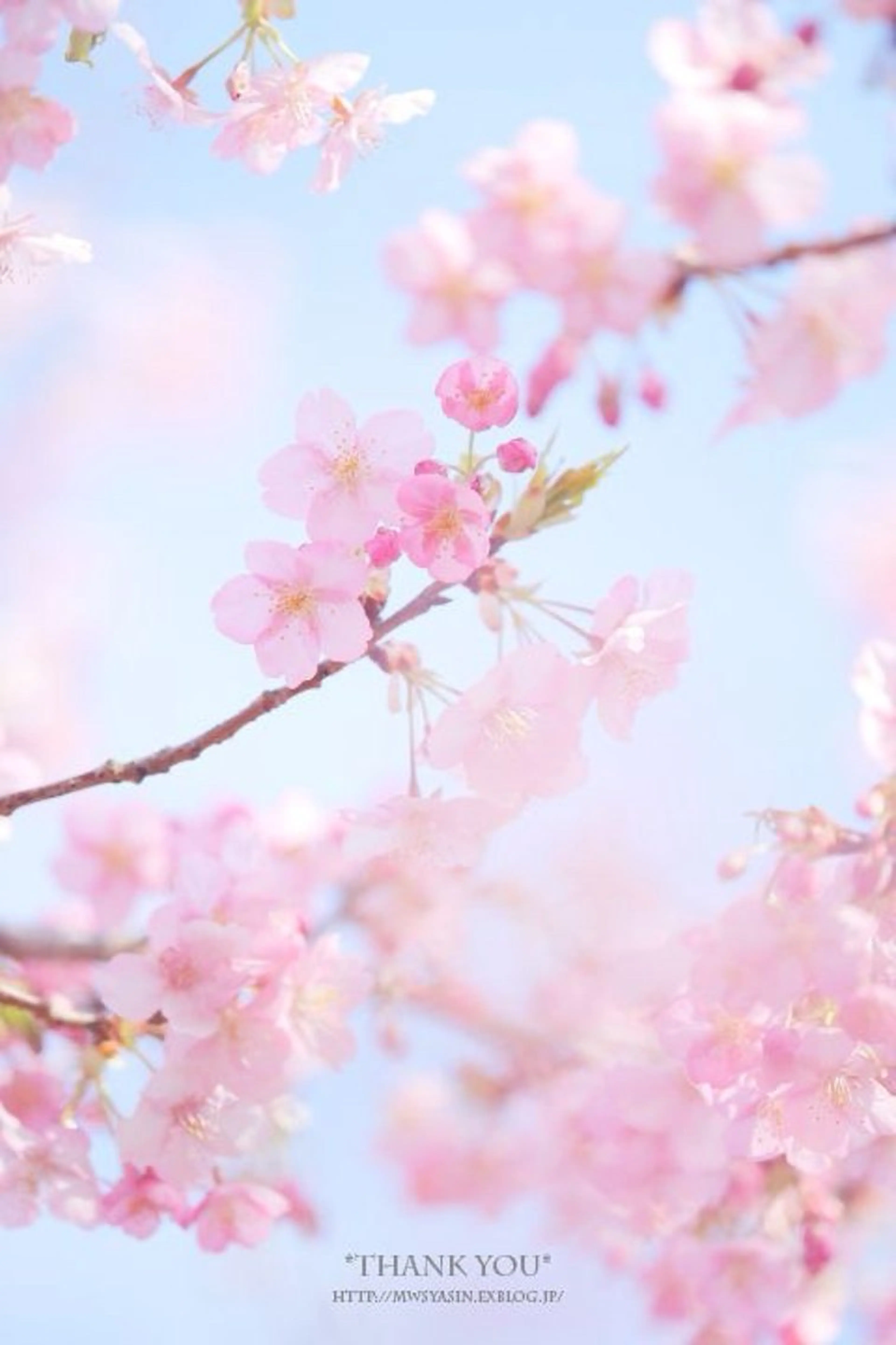 ネイル asuka 🐰のネイルデザイン