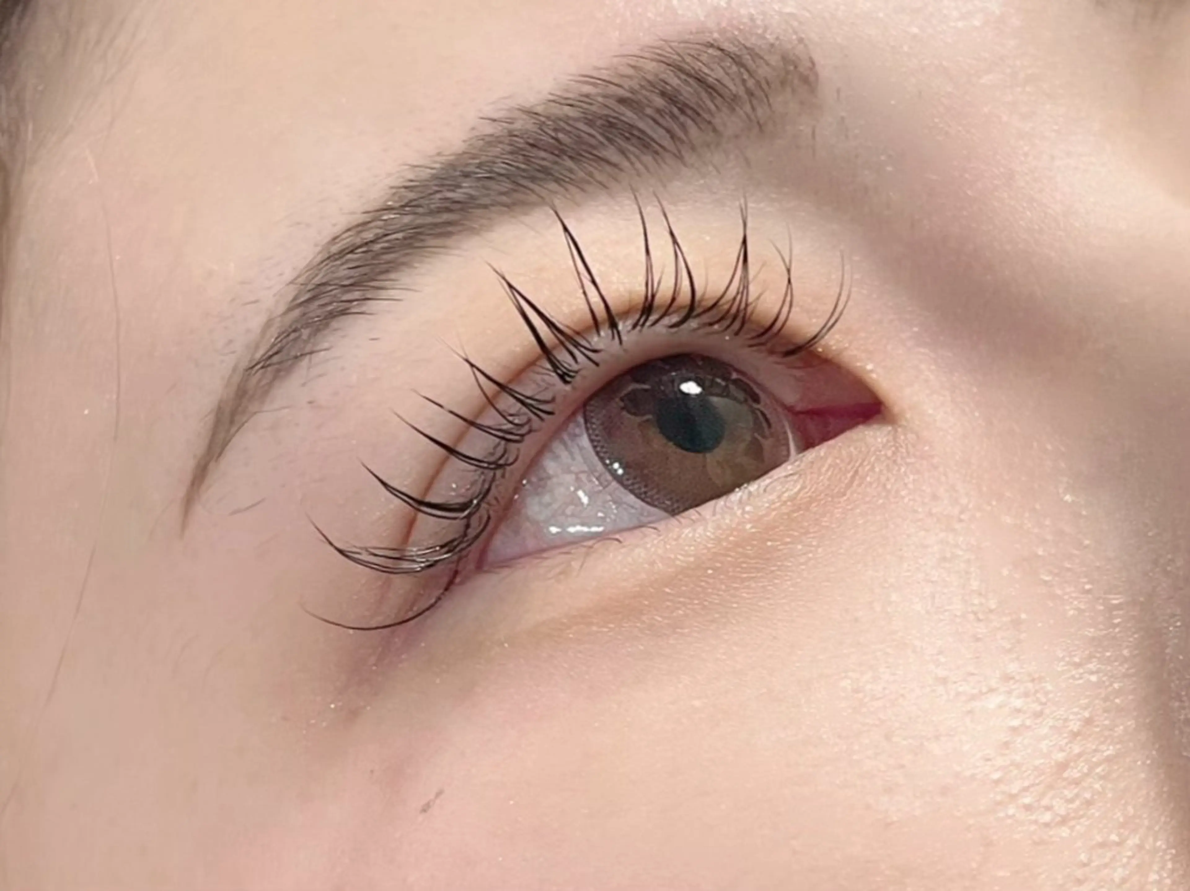 12月クーポン🌟まつ毛パーマ上下＋アミノ酸トリートメント＋アイシャンプー付き✨(いろんなロットの中よりお選び頂けます)の写真