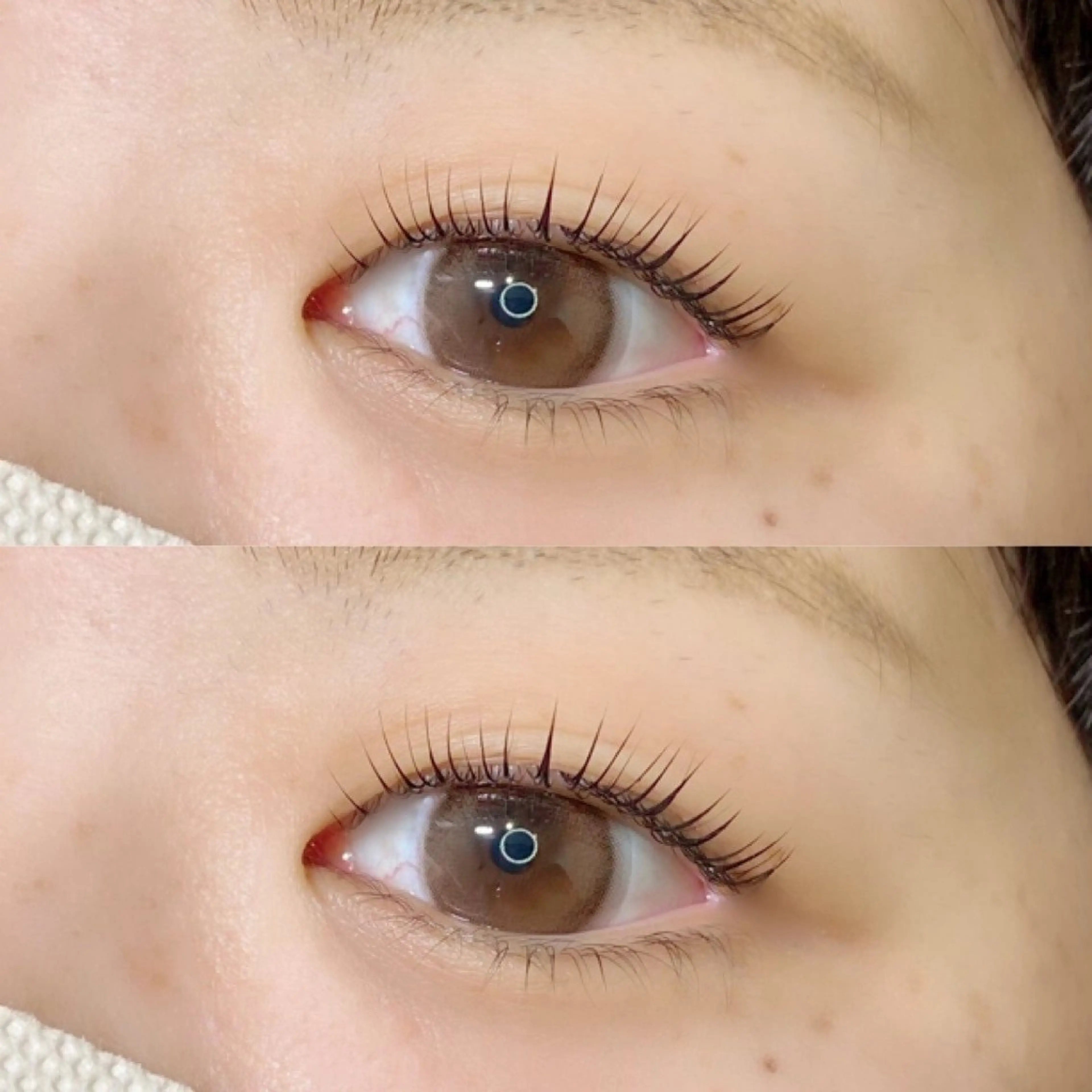 【✨くるんっとカールをつけて可愛く✨】【🎶一重、奥二重の方に🎶】🌼まつげパーマ🌼（コーティング付き）の写真