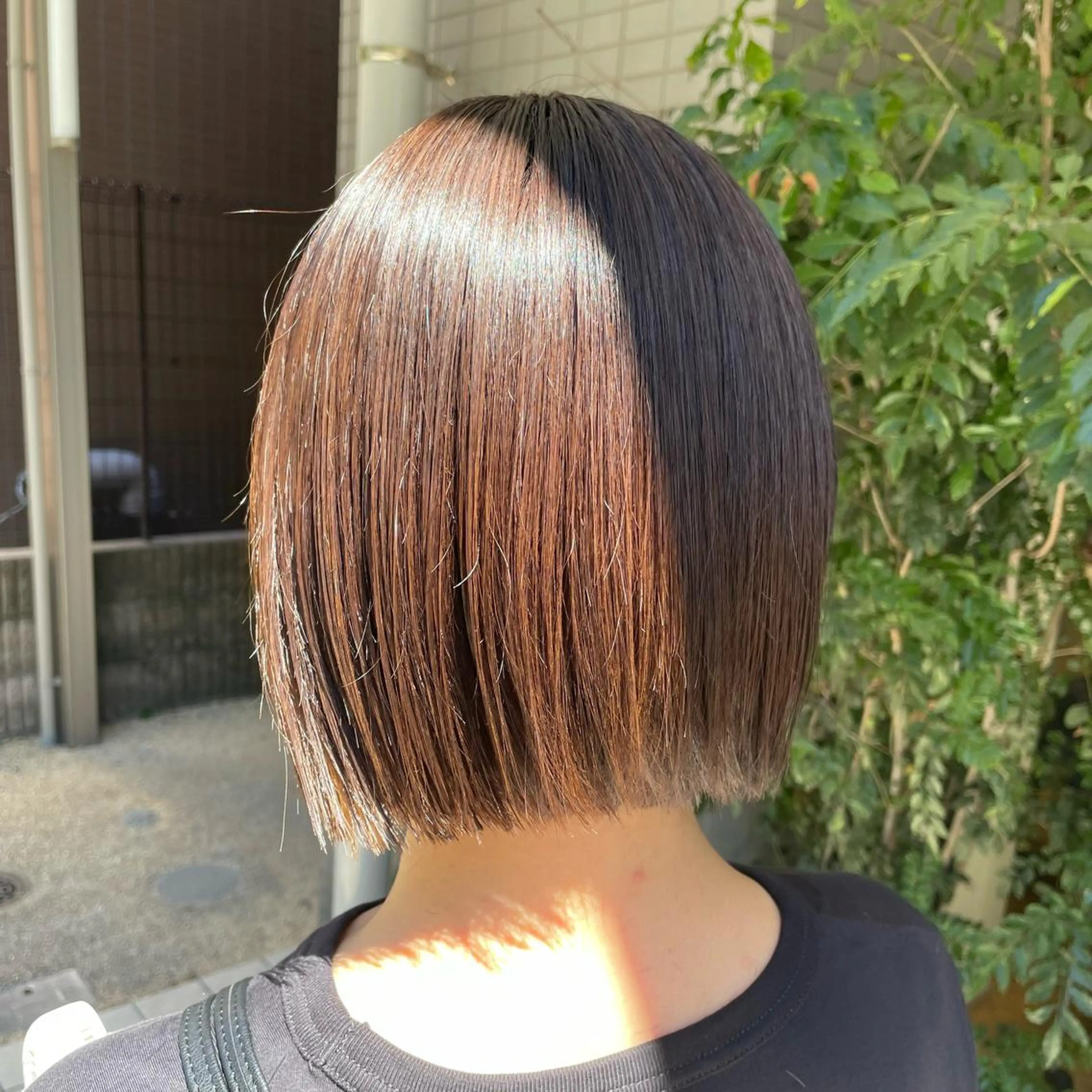 ショート カット トリートメント 韓国ヘア/レイヤー 🇰🇷/艶髪/長橋のヘアスタイル