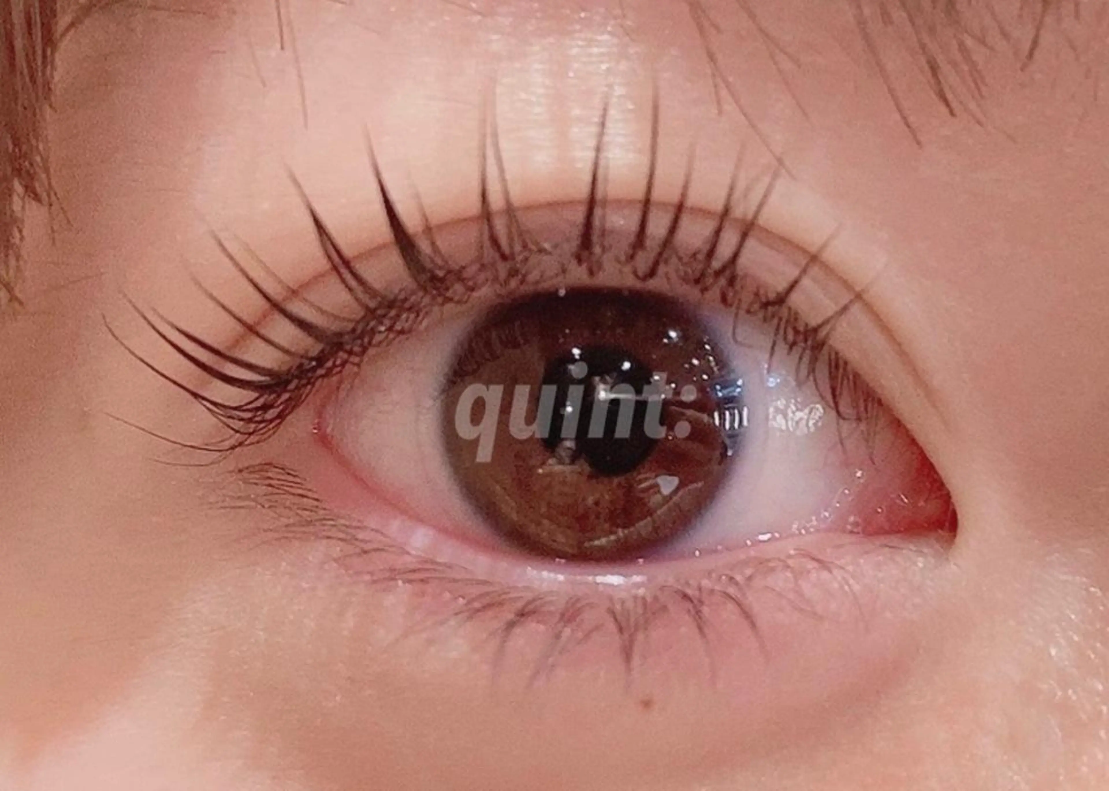 マツエク・マツパ パリジェンヌラッシュリフト マツパ たねむら みきのマツエク・マツパデザイン