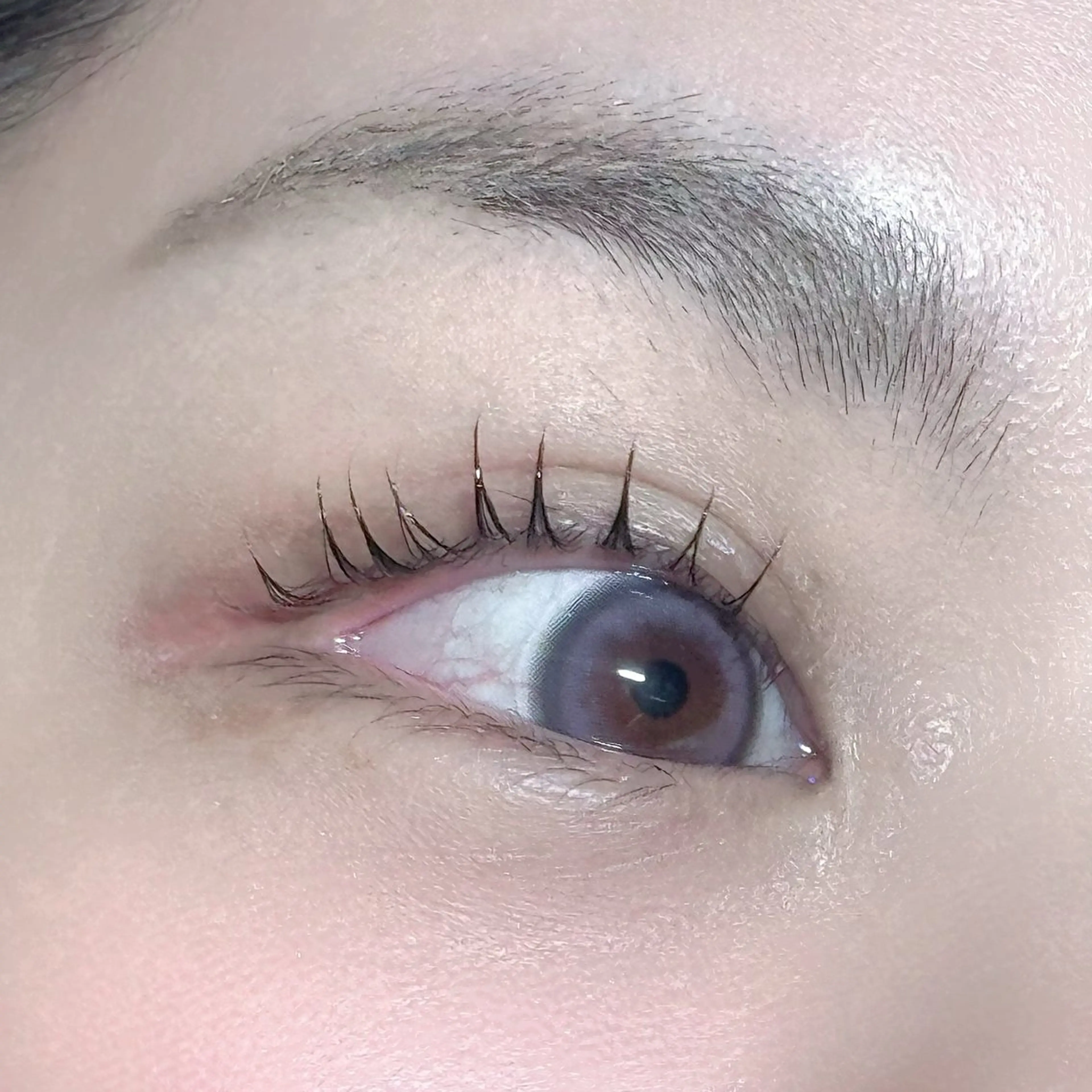 マツエク・マツパ マツパ e&和歌山市駅前店 ユメのマツエク・マツパデザイン