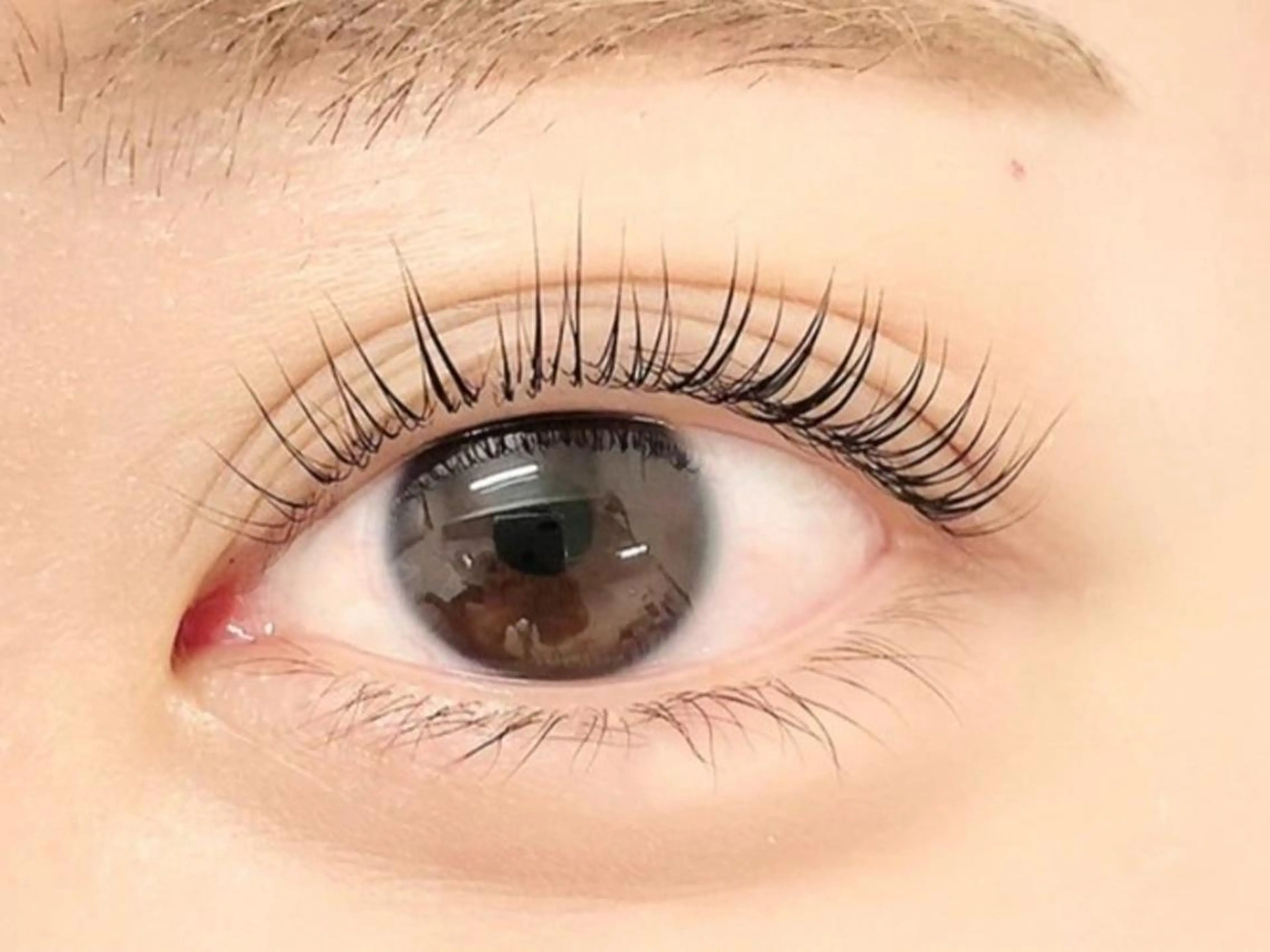 20日まで限定✨パリジェンヌorカールが選べるまつ毛パーマ❇仕上げの美容液付きの写真