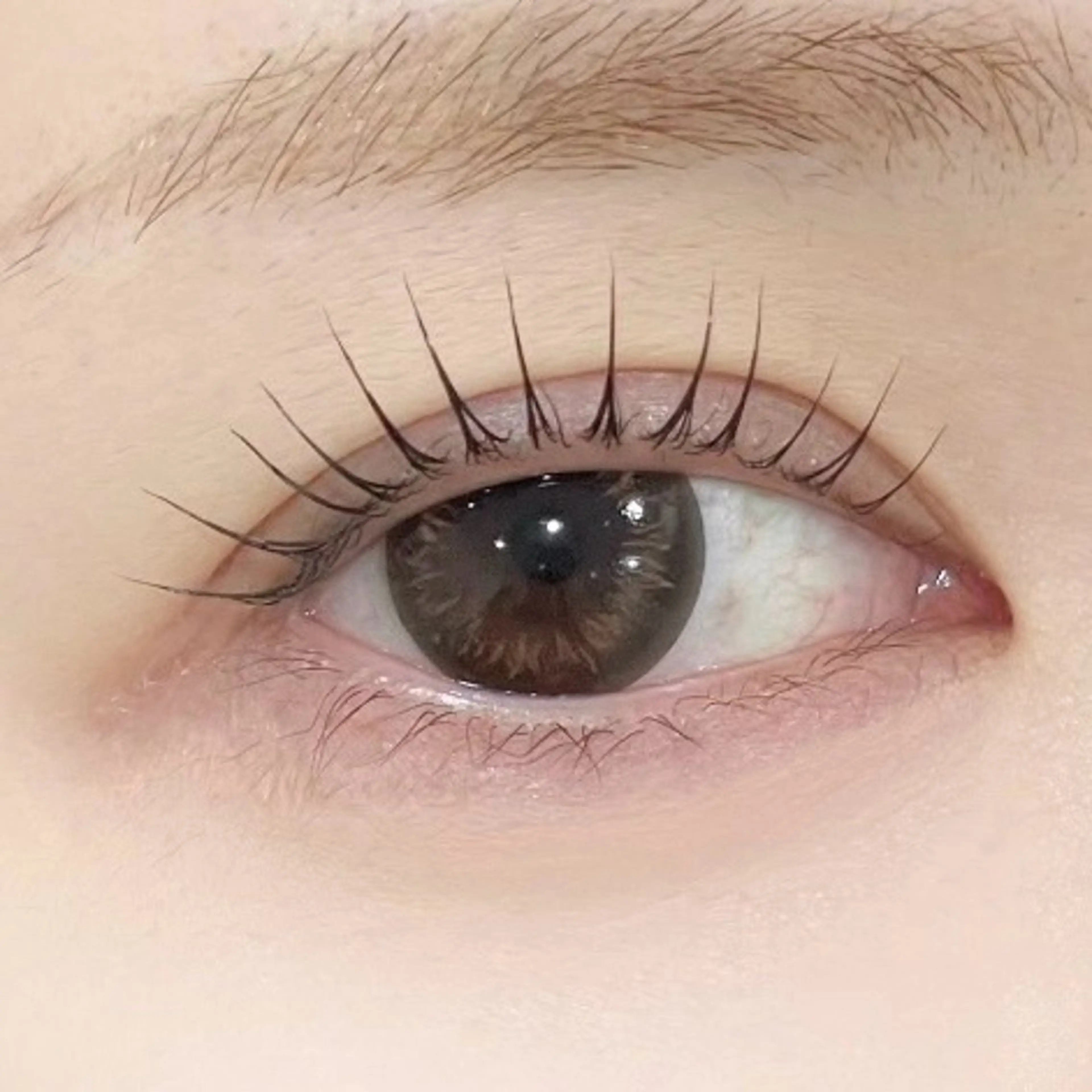 マツエク・マツパ マツパ MUU alisaのマツエク・マツパデザイン