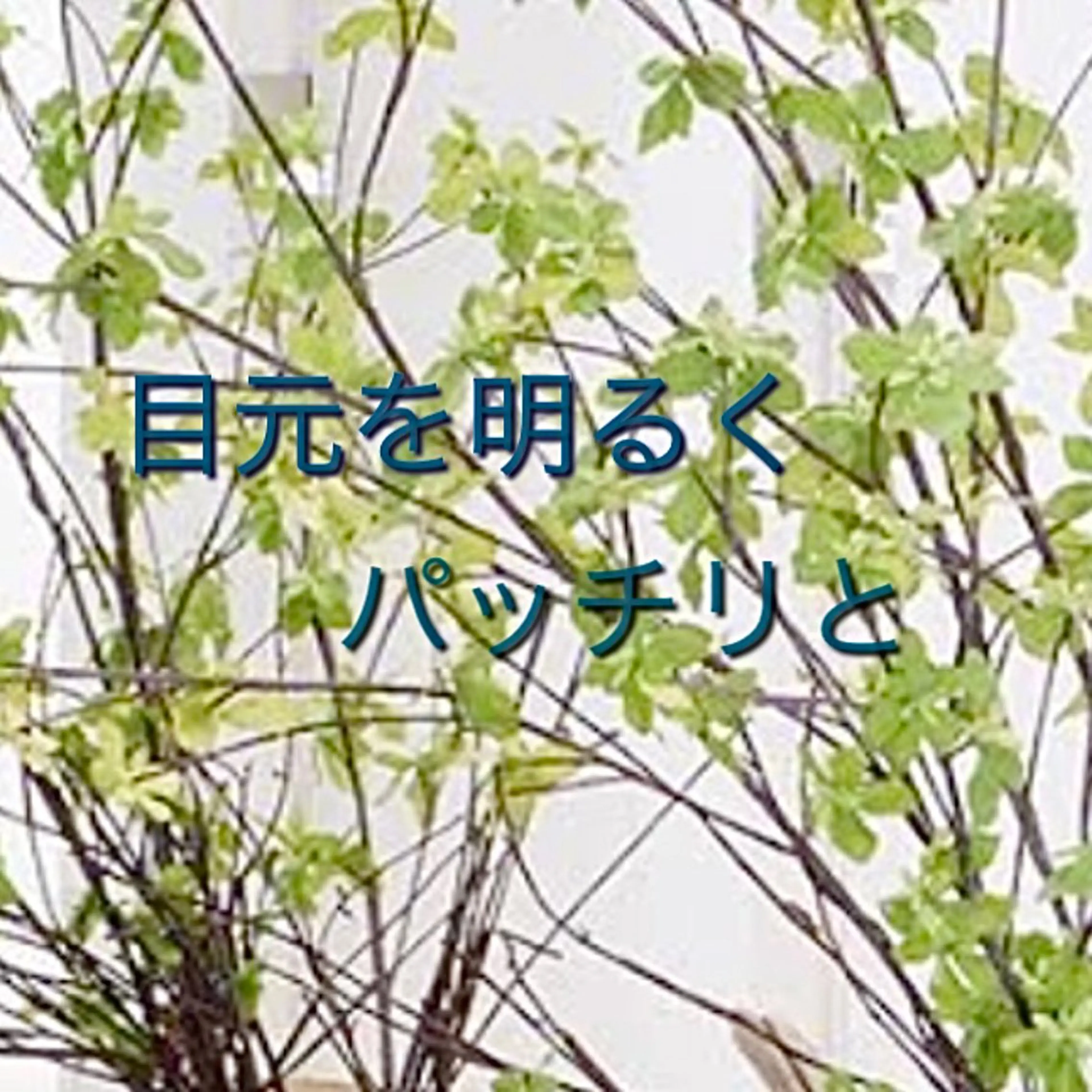 マツエク・マツパ CORE Total Beauty所属・CORE TBのマツエク・マツパデザイン