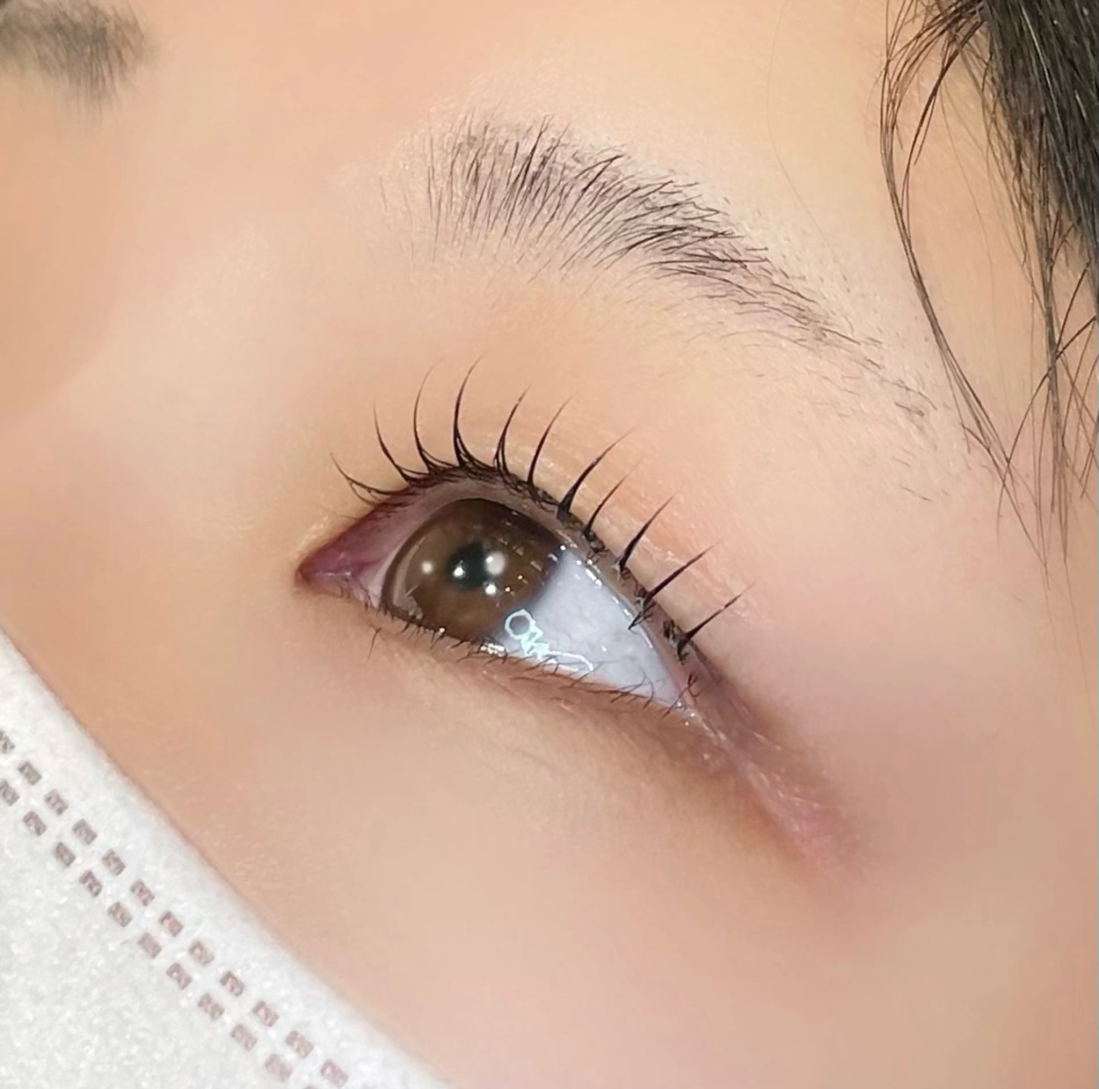 マツエク・マツパ マツパ まつパ/マツエク🤎 艶カラー/ゆり♡⃛のマツエク・マツパデザイン