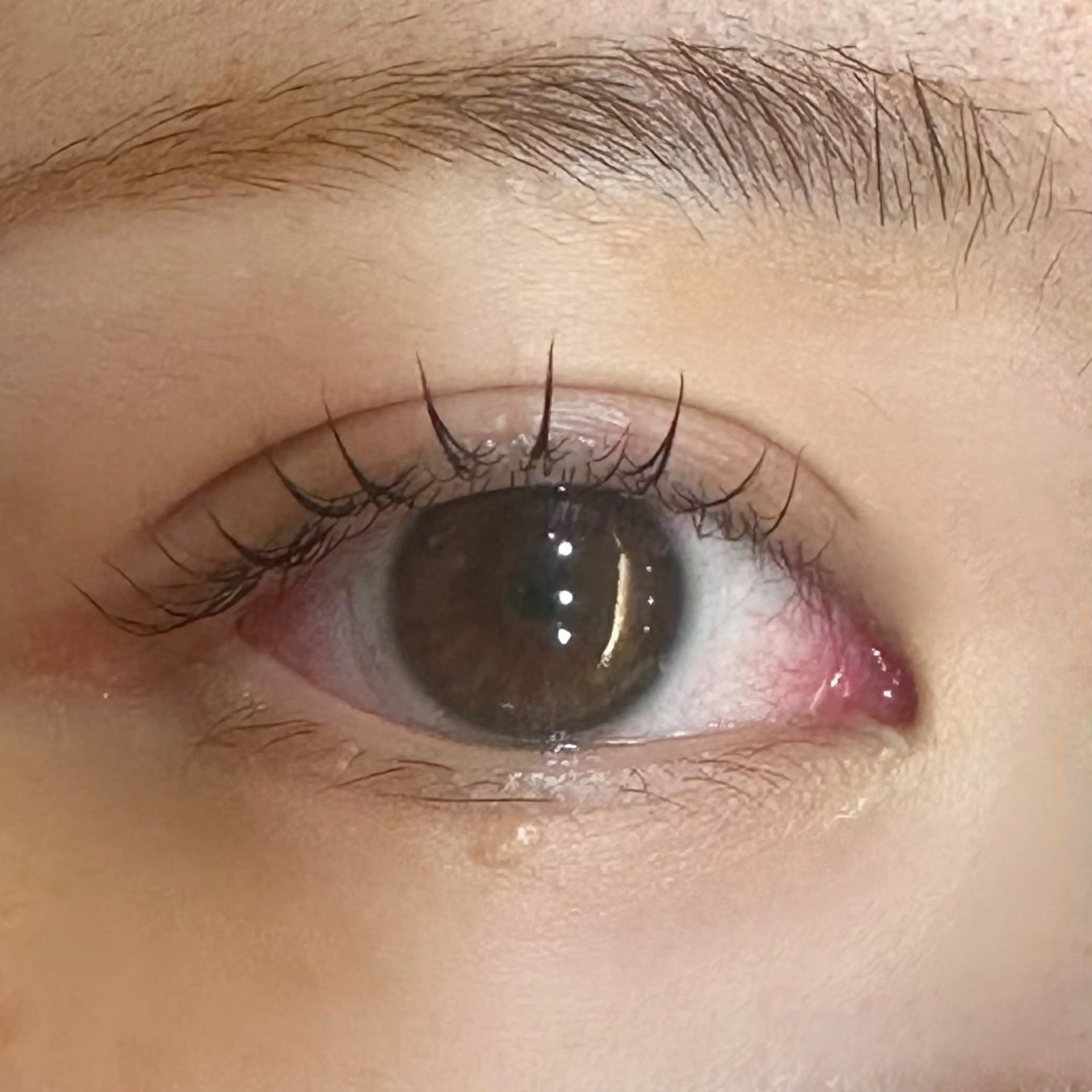 マツエク・マツパ マツパ セリオ安城店所属・稲生 彩花のマツエク・マツパデザイン