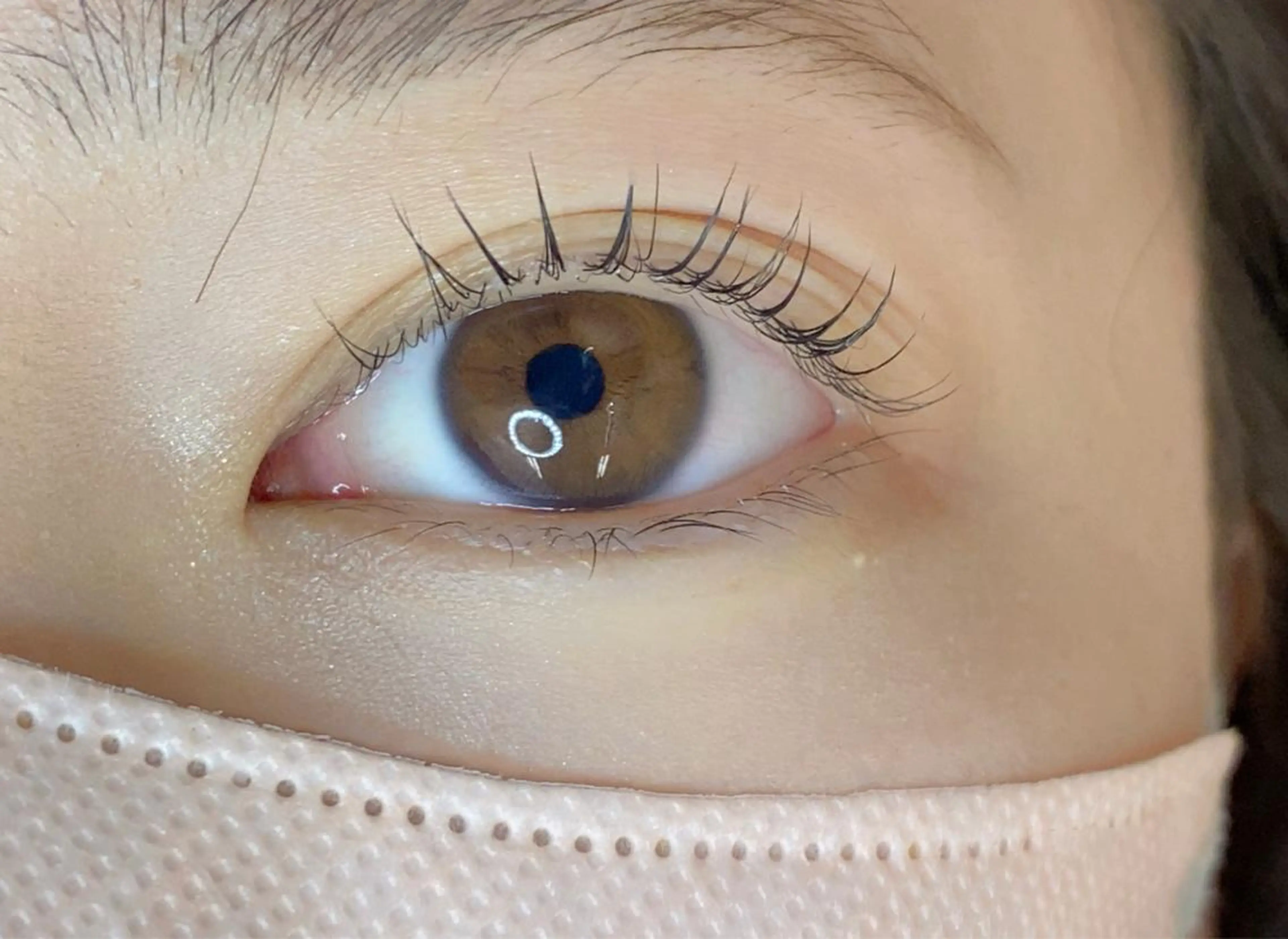 12月限定！✨ご新規様限定✨3種類から選べるラッシュリフト（まつ毛パーマ）+ケラチントリートメント＋束感コーティング付！の写真