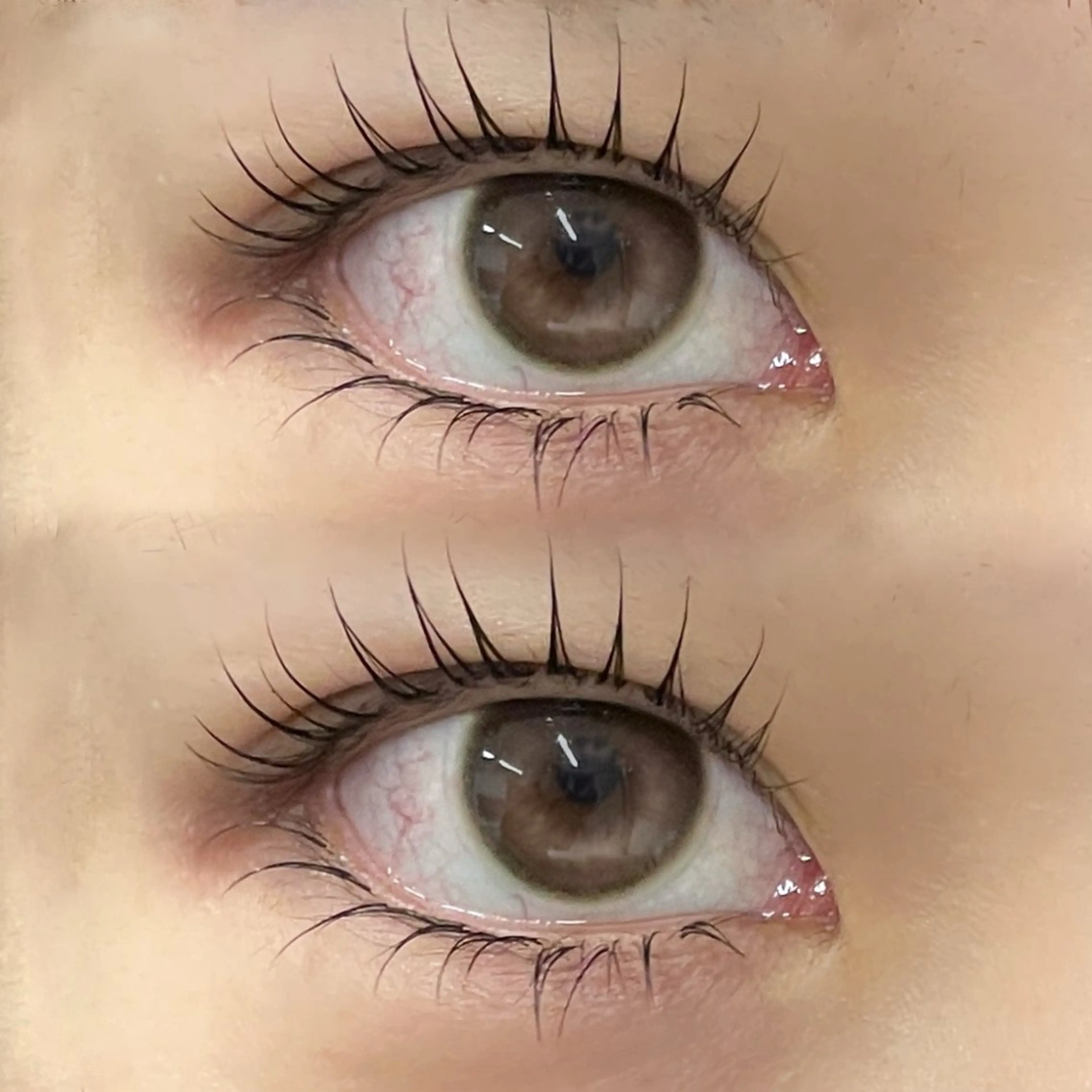 マツエク・マツパ GO TODAY シェアサロン 銀座Eclara店所属・mihiro 銀座まつぱﾏﾂｴｸ眉のマツエク・マツパデザイン