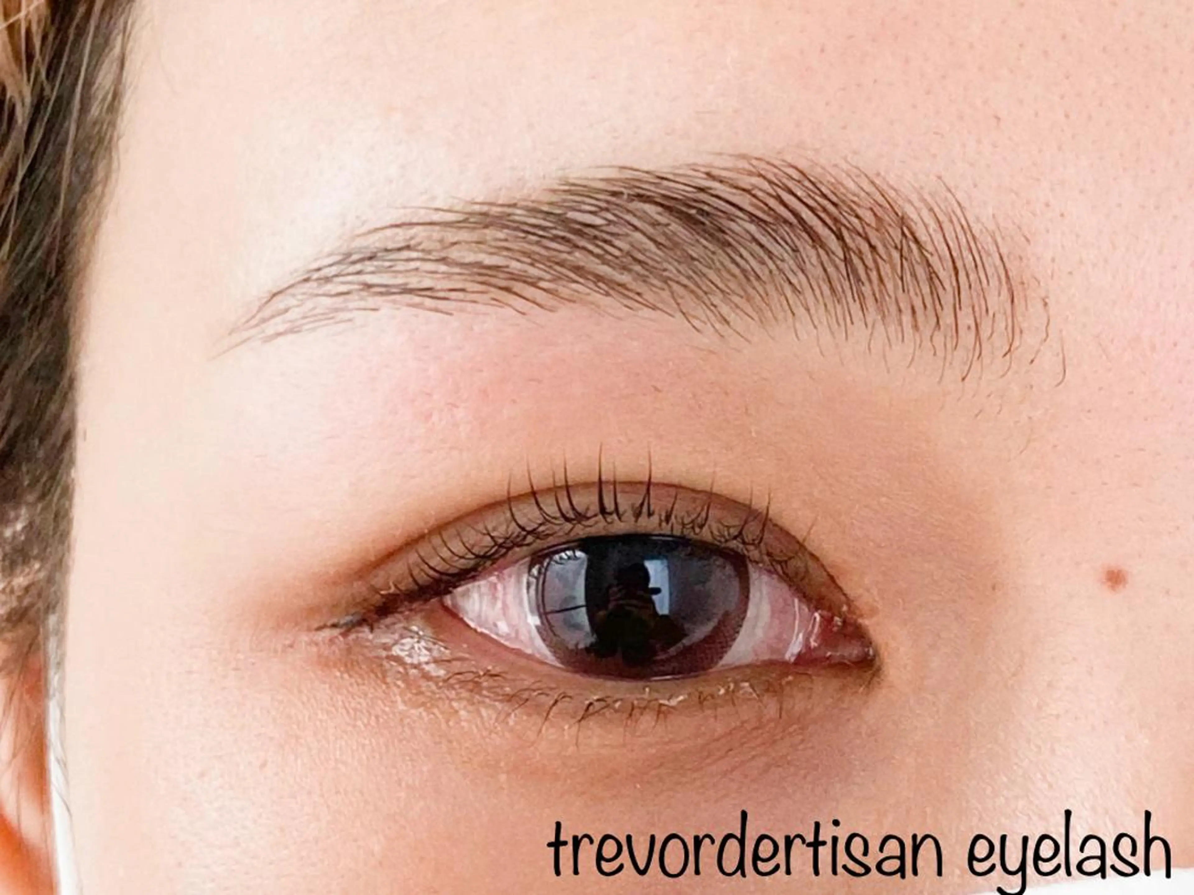 トレヴァーデルチザン inuiのマツエク・マツパデザイン