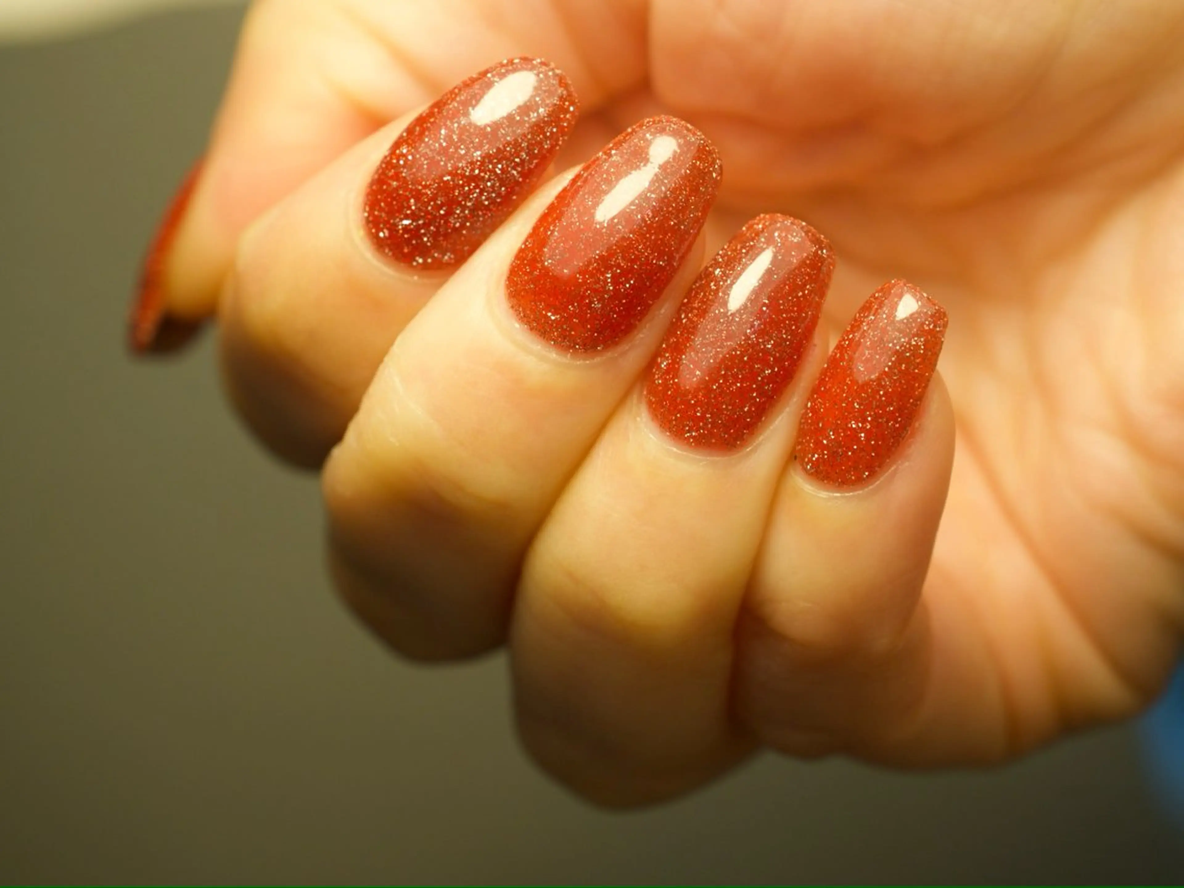 シンプルコースの写真