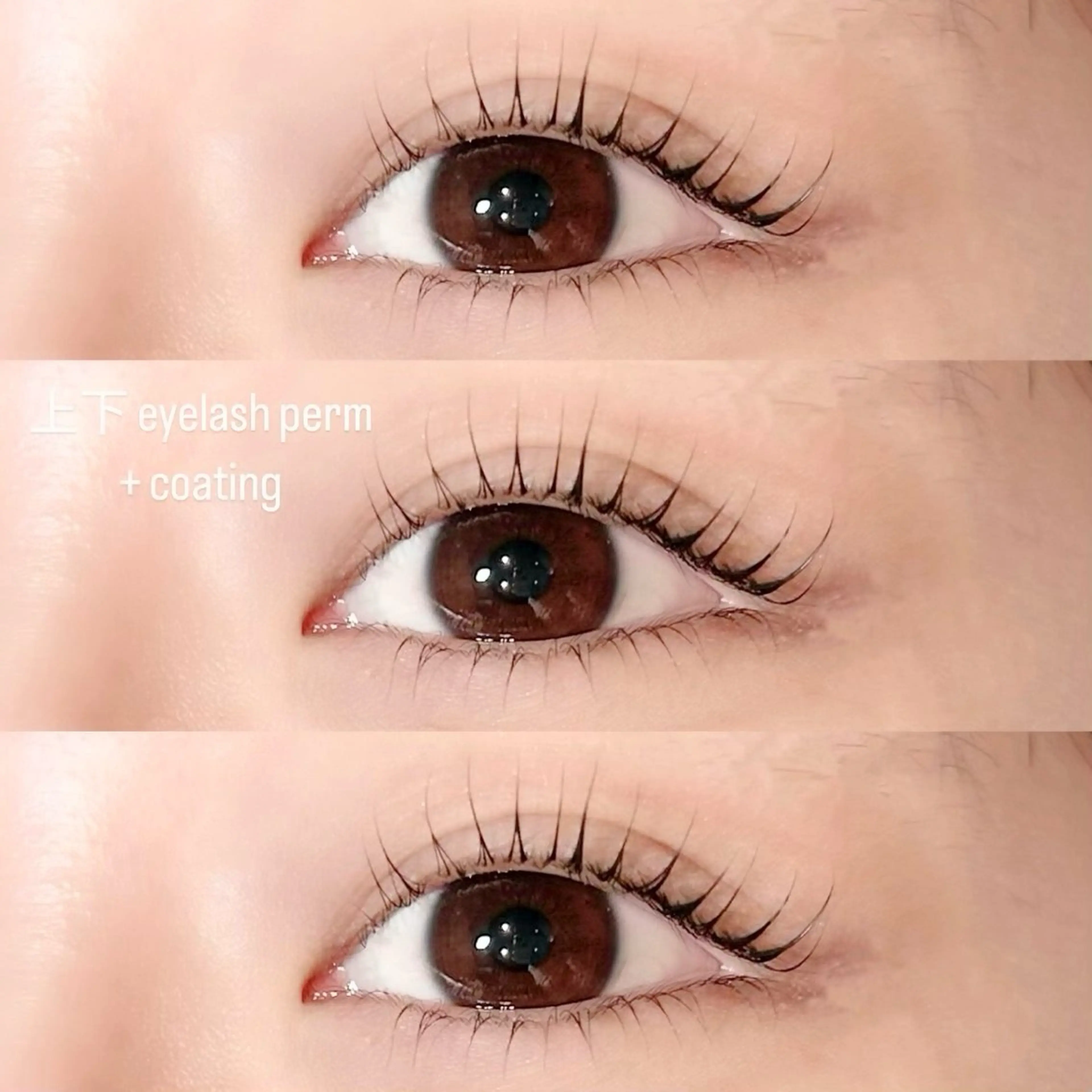 マツエク・マツパ まつげパーマ 下まつげエクステ マツパ Stella 中島のマツエク・マツパデザイン