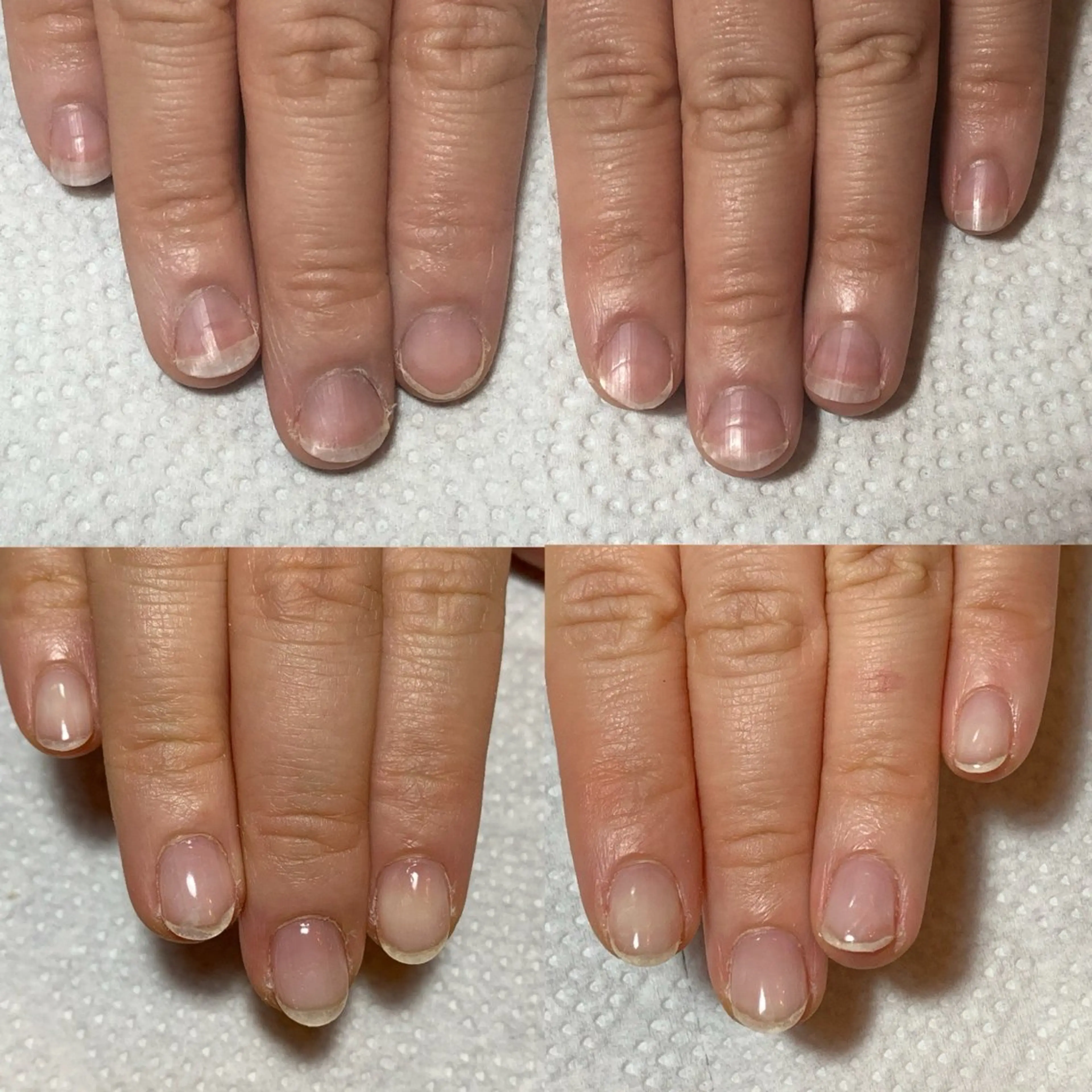 ネイル ネイルケアサロン Campanulaのネイルデザイン