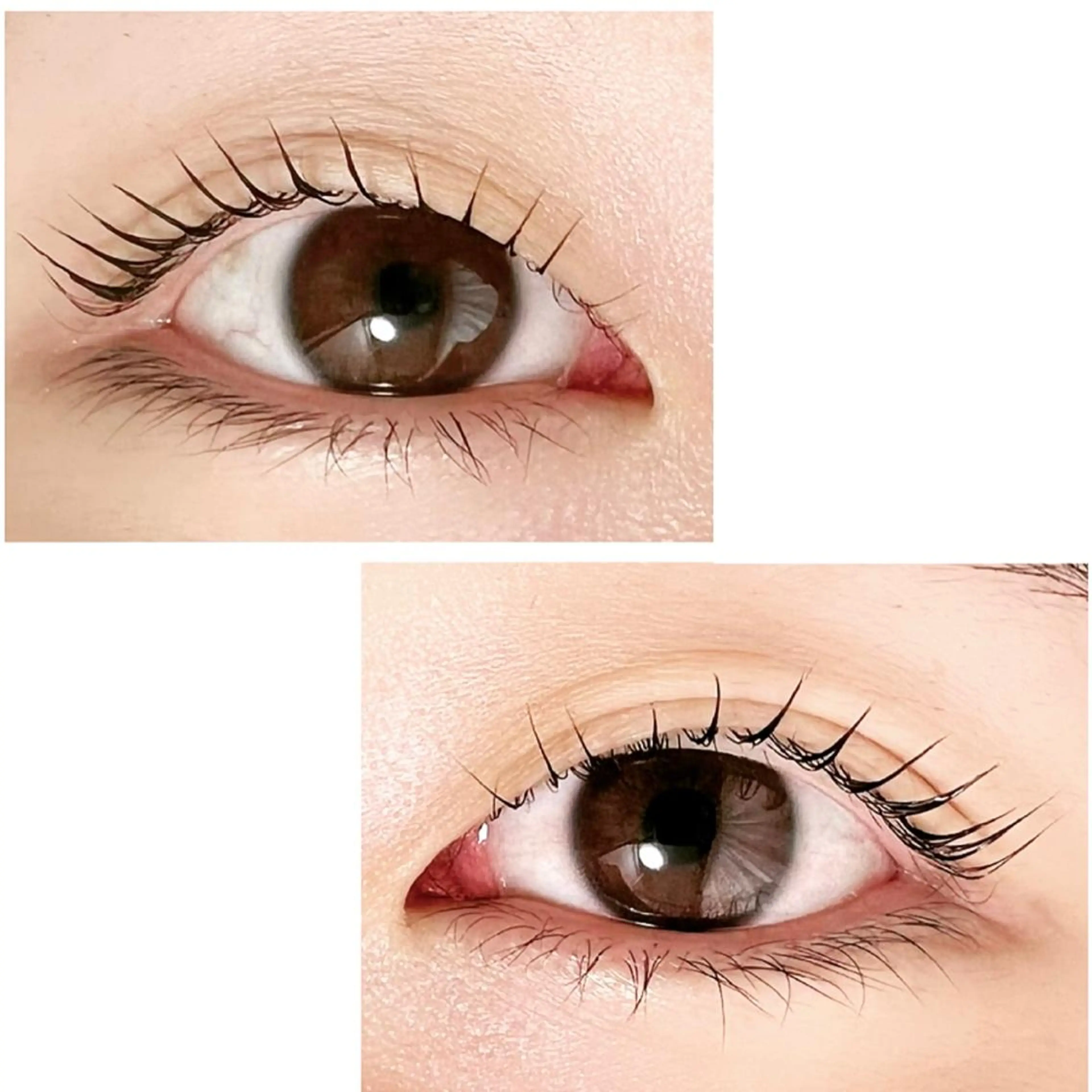 マツエク・マツパ Adorer(アドレ)所属・Adorer 🍀アドレ🍀のマツエク・マツパデザイン