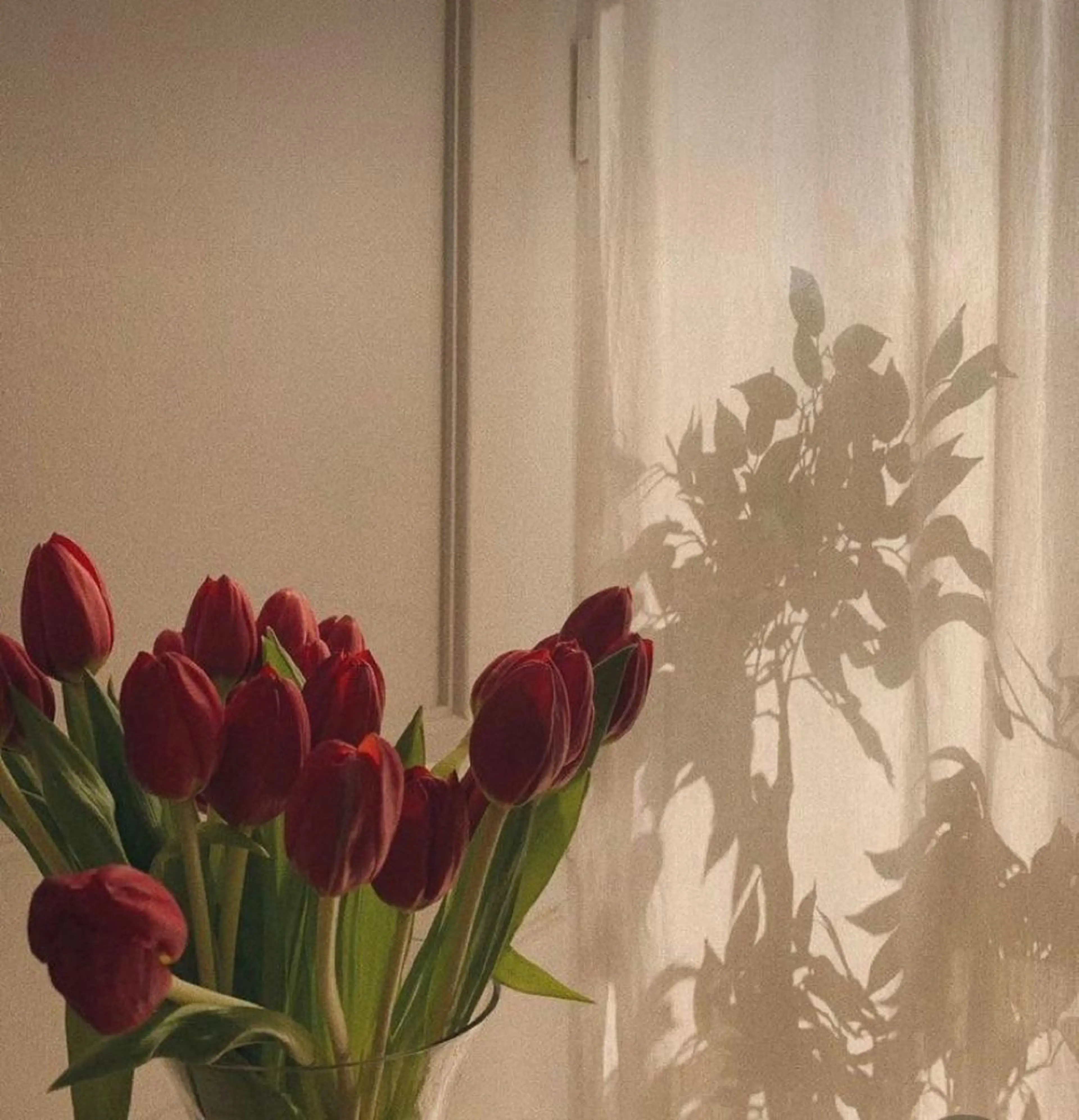 カラー SIGMA(シグマ)所属・Erina レイヤー/似合わせ♡のヘアスタイル