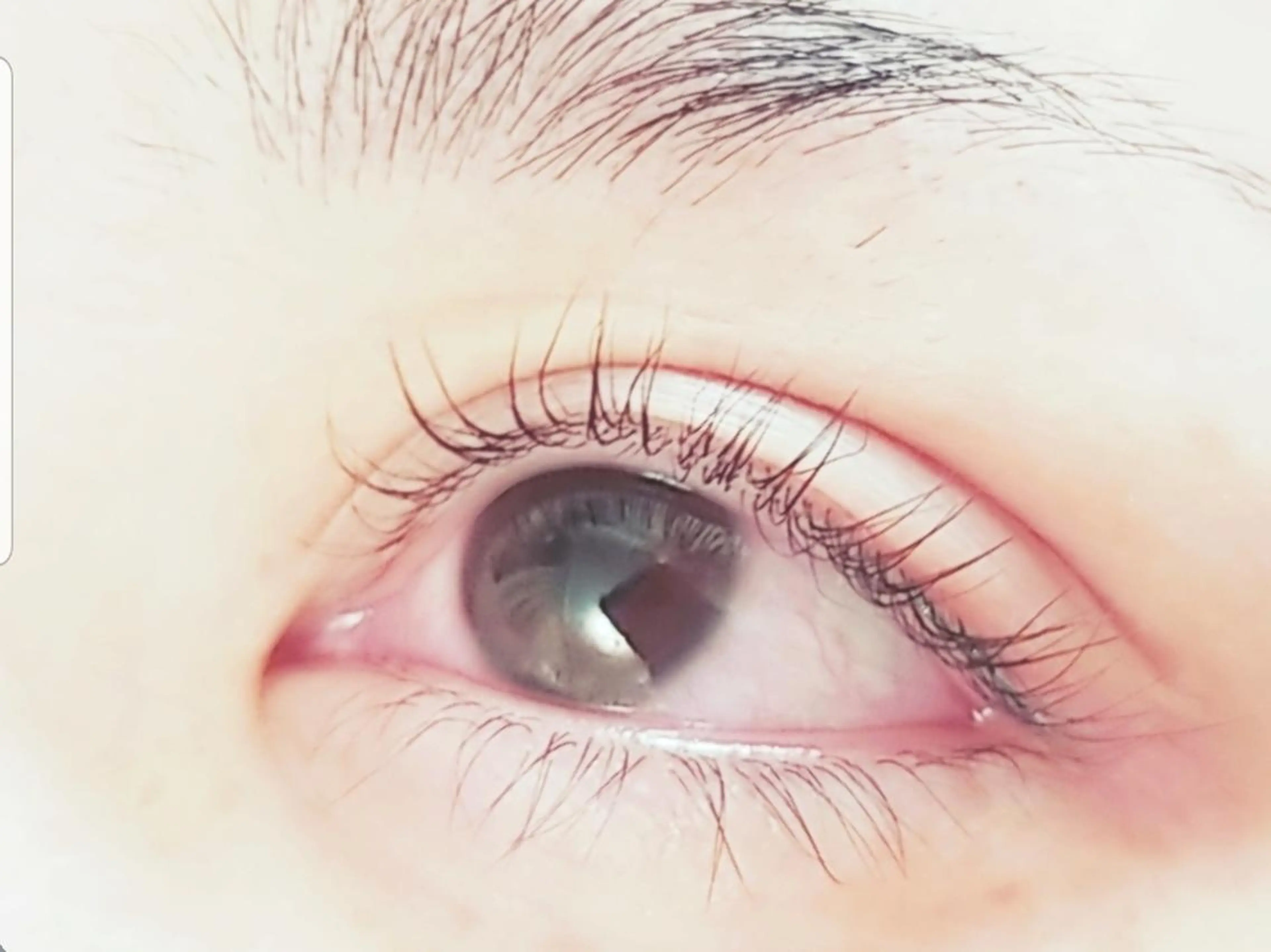 メンズ マツエク・マツパ メンズパーマ まつげパーマ CII CIIのエステ・リラクイメージ