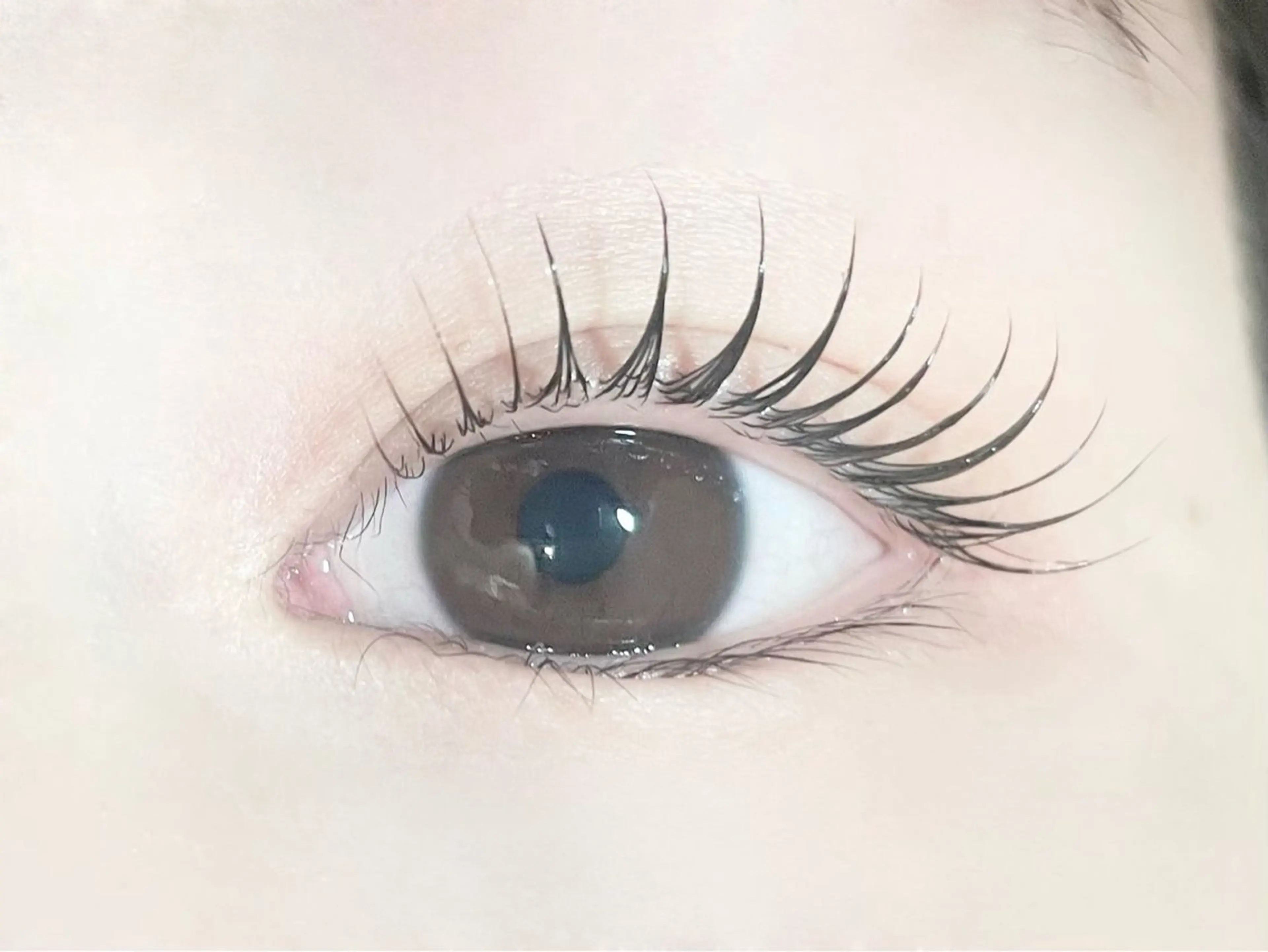 マツエク・マツパ マツパ Pupu lash所属・Pupu lash 2のマツエク・マツパデザイン