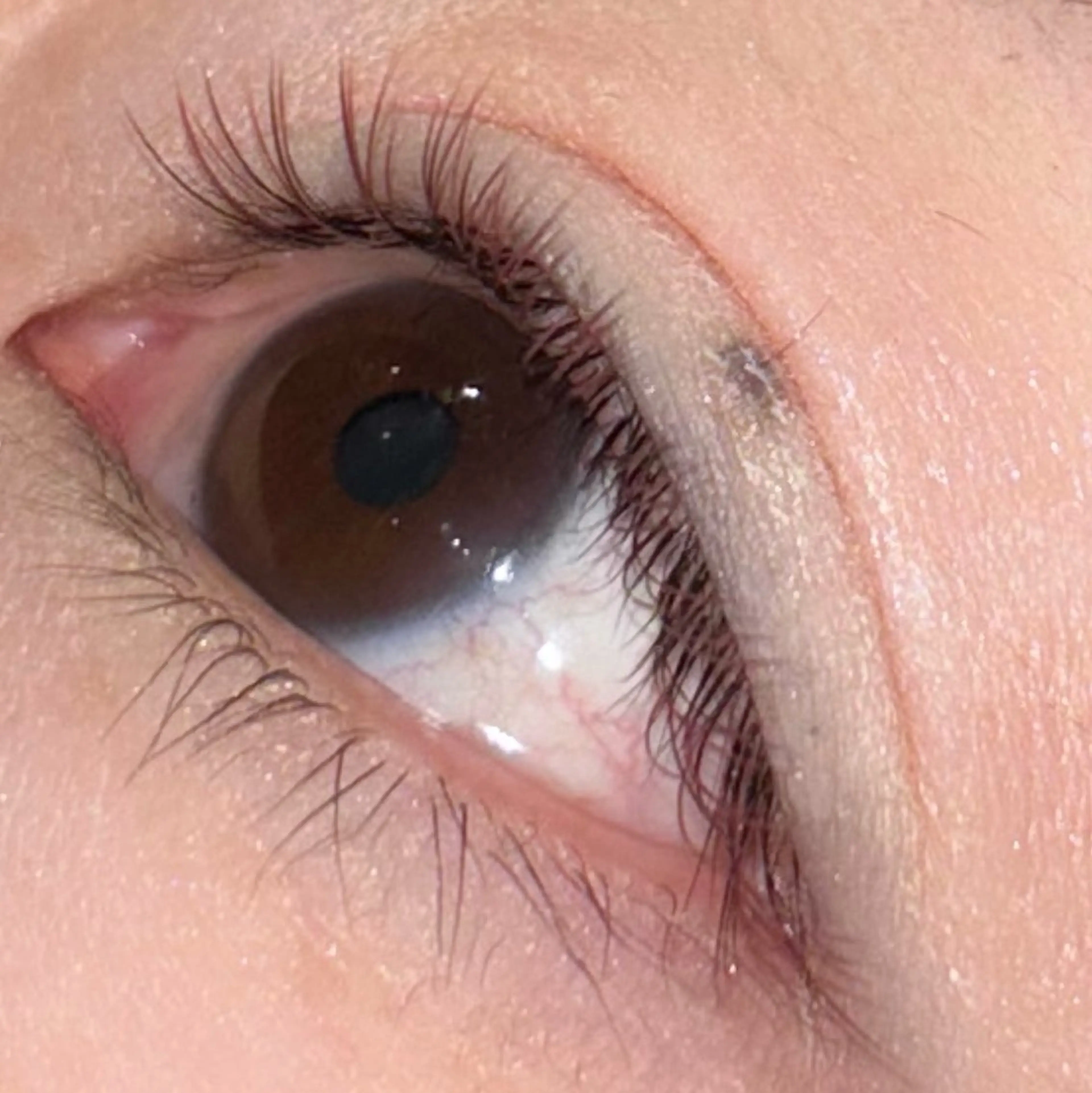 🎨カラーまつエク付け放題(何色でもOK！)の写真