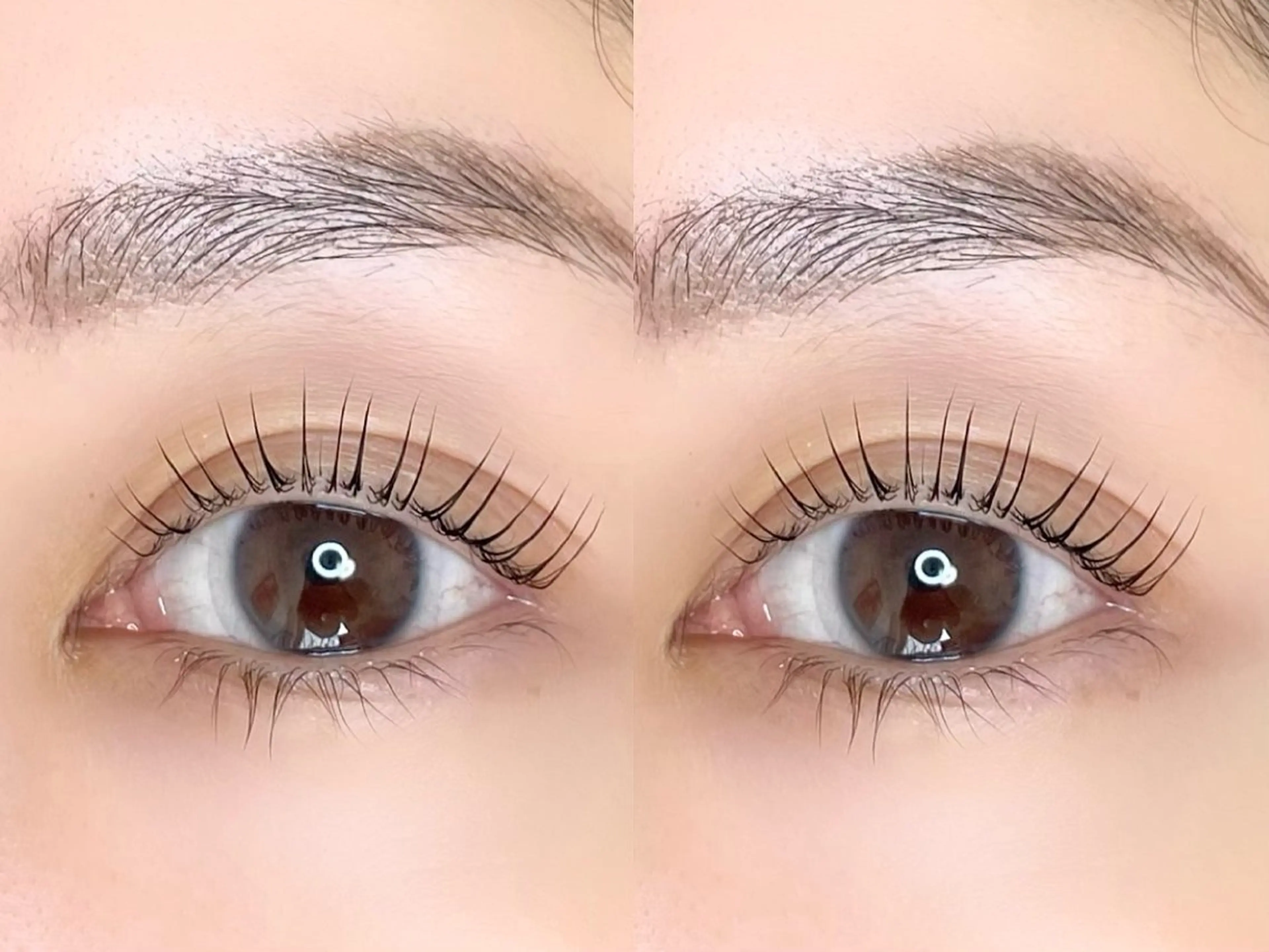 マツエク・マツパ パリジェンヌラッシュリフト Po eyelash ･:* 下北沢のマツエク・マツパデザイン