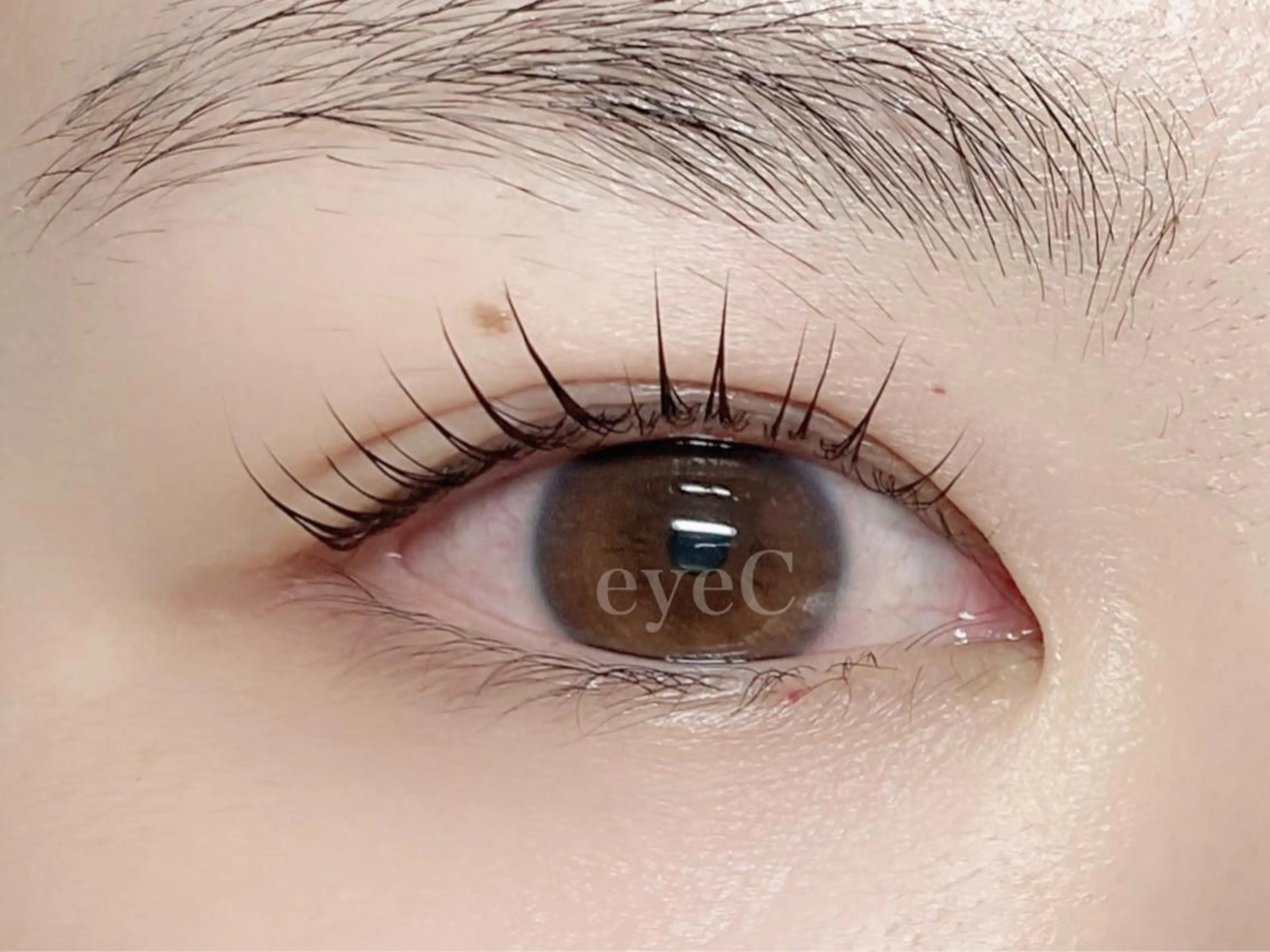 マツエク・マツパ zekka所属・門前仲町zekka Kaのマツエク・マツパデザイン