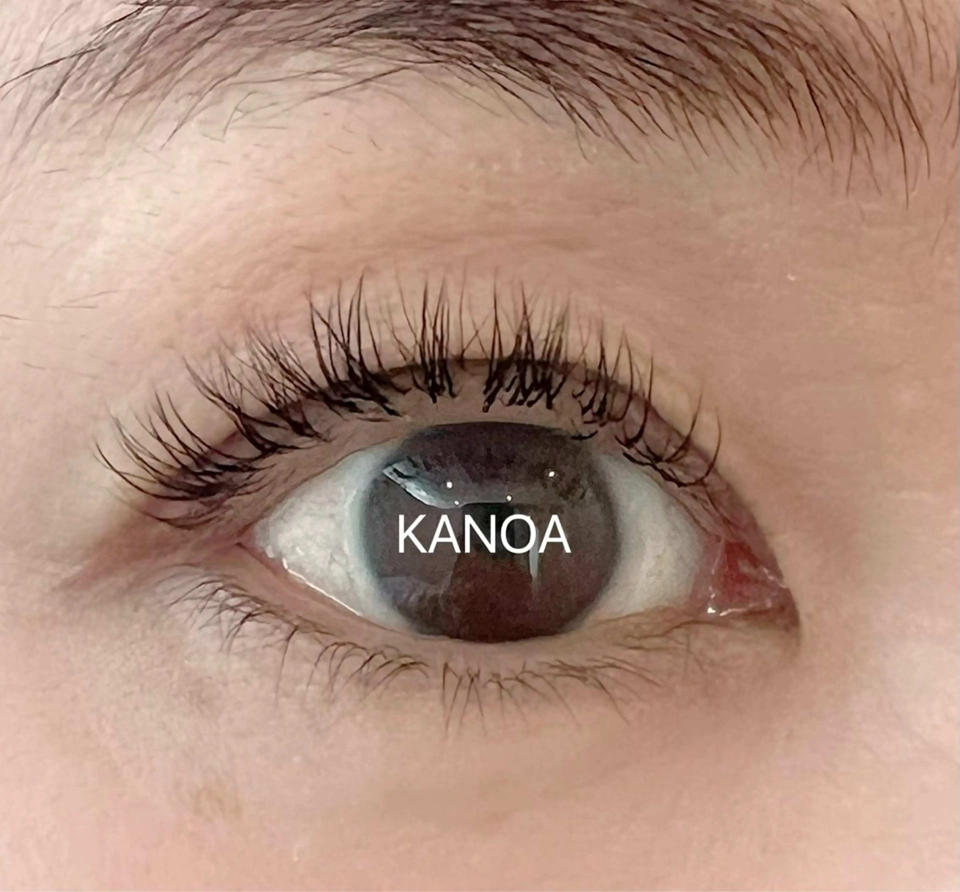 LEDカシミヤフラットラッシュつけ放題（オフ込み）の写真