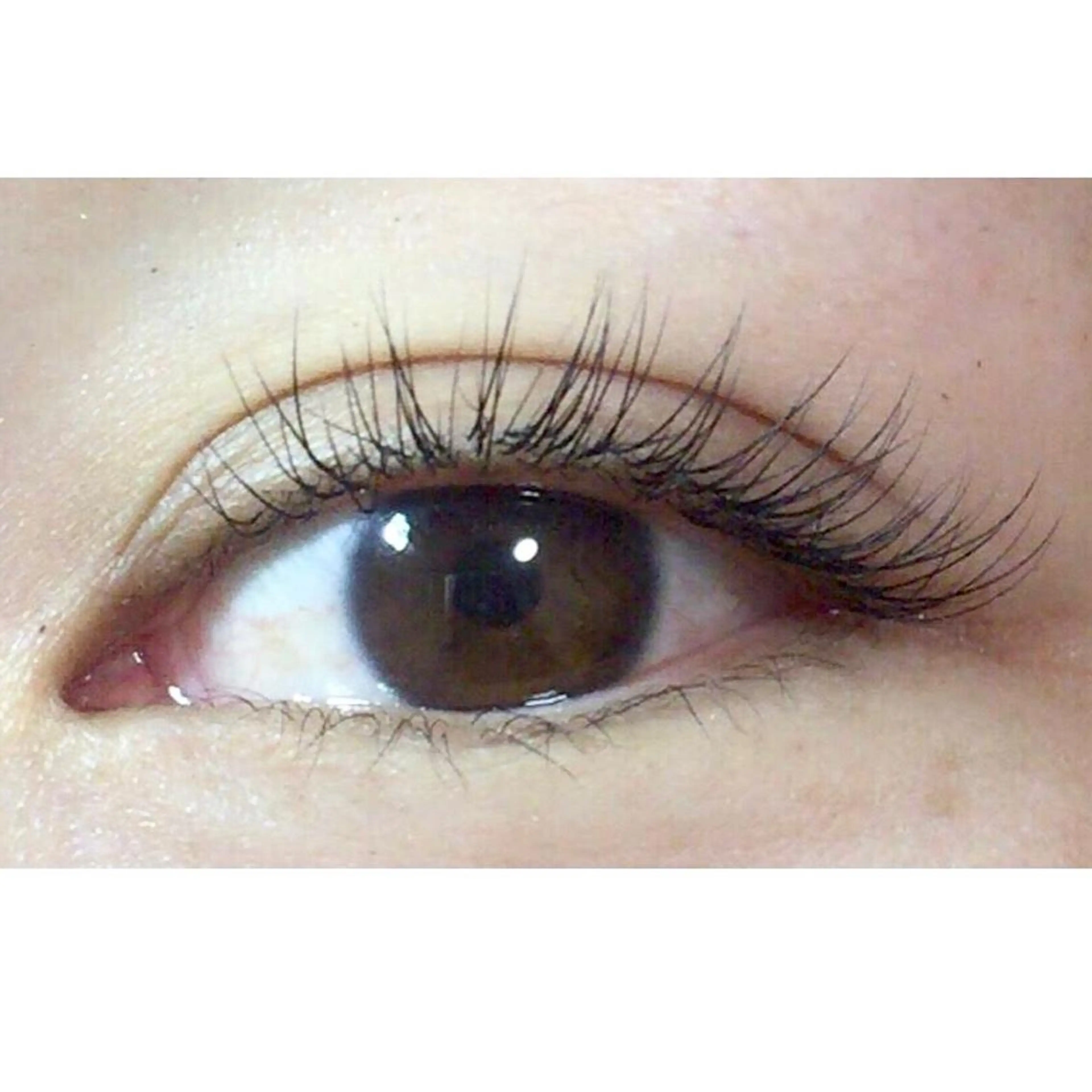 マツエク・マツパ アモロッソ所属・アモロッソ 🐻Miiのマツエク・マツパデザイン