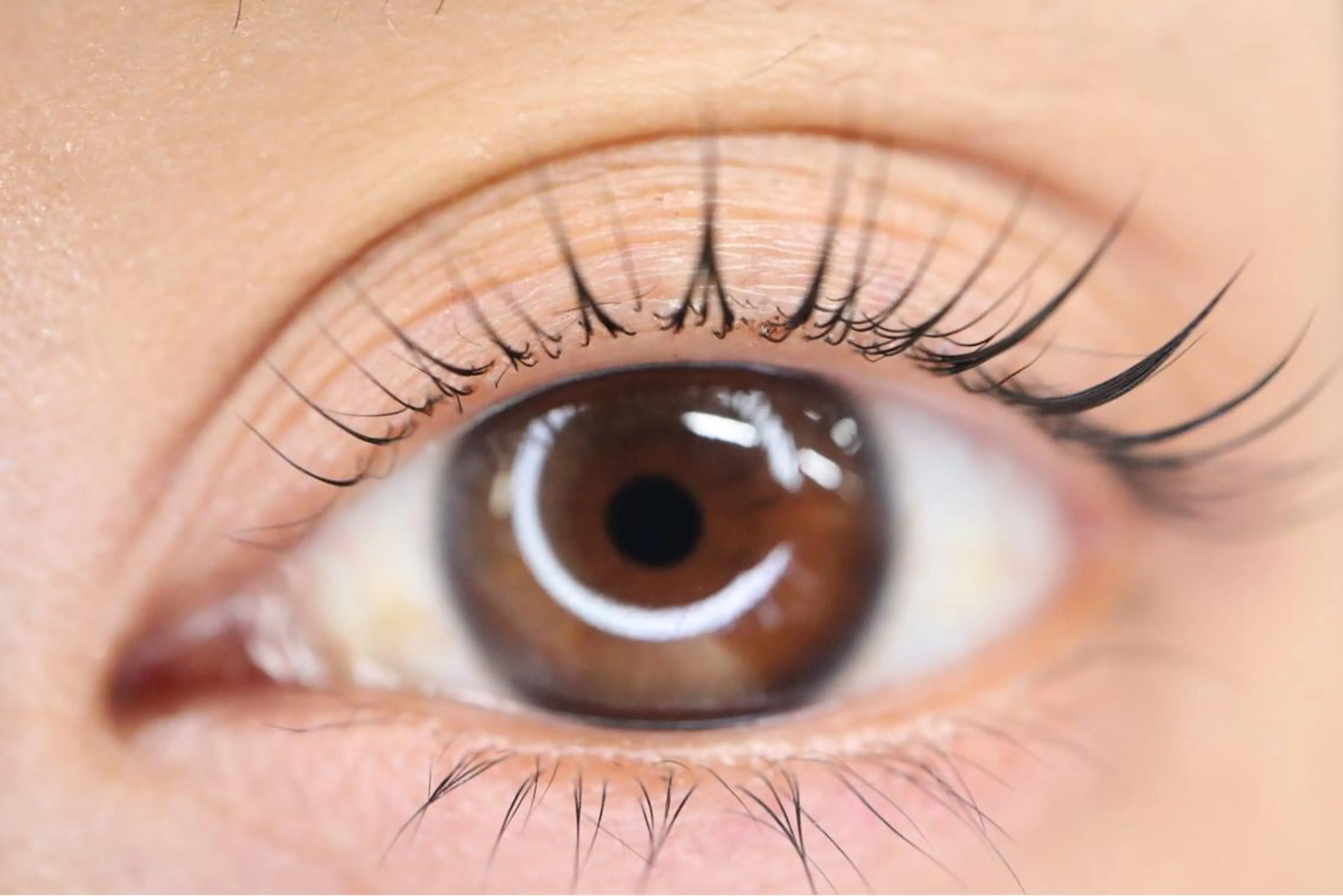 マツエク・マツパ アイブロウ RuRu所属・無料サロンモデル募集 RuRu🧸🌙のマツエク・マツパデザイン