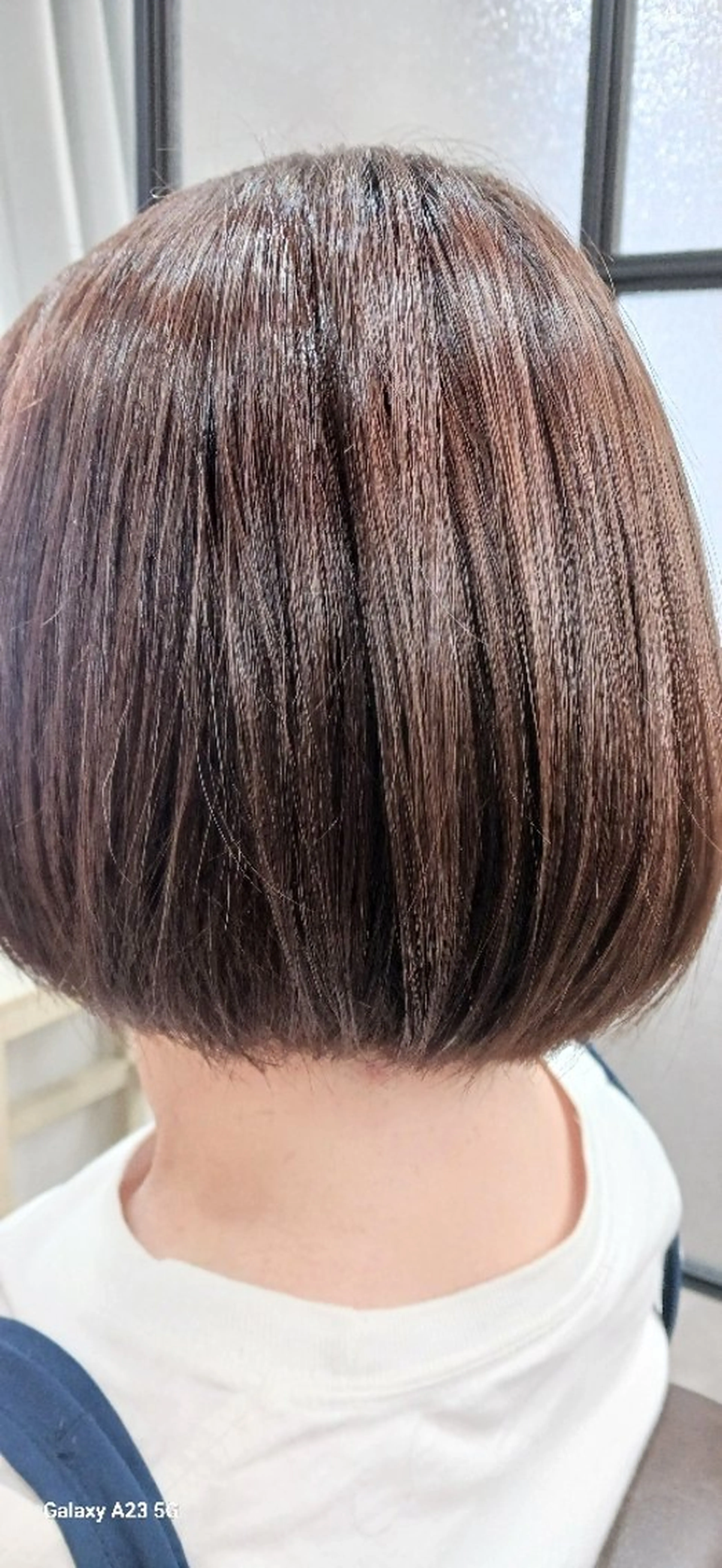 －5歳カット＋カラー＋NEOの写真