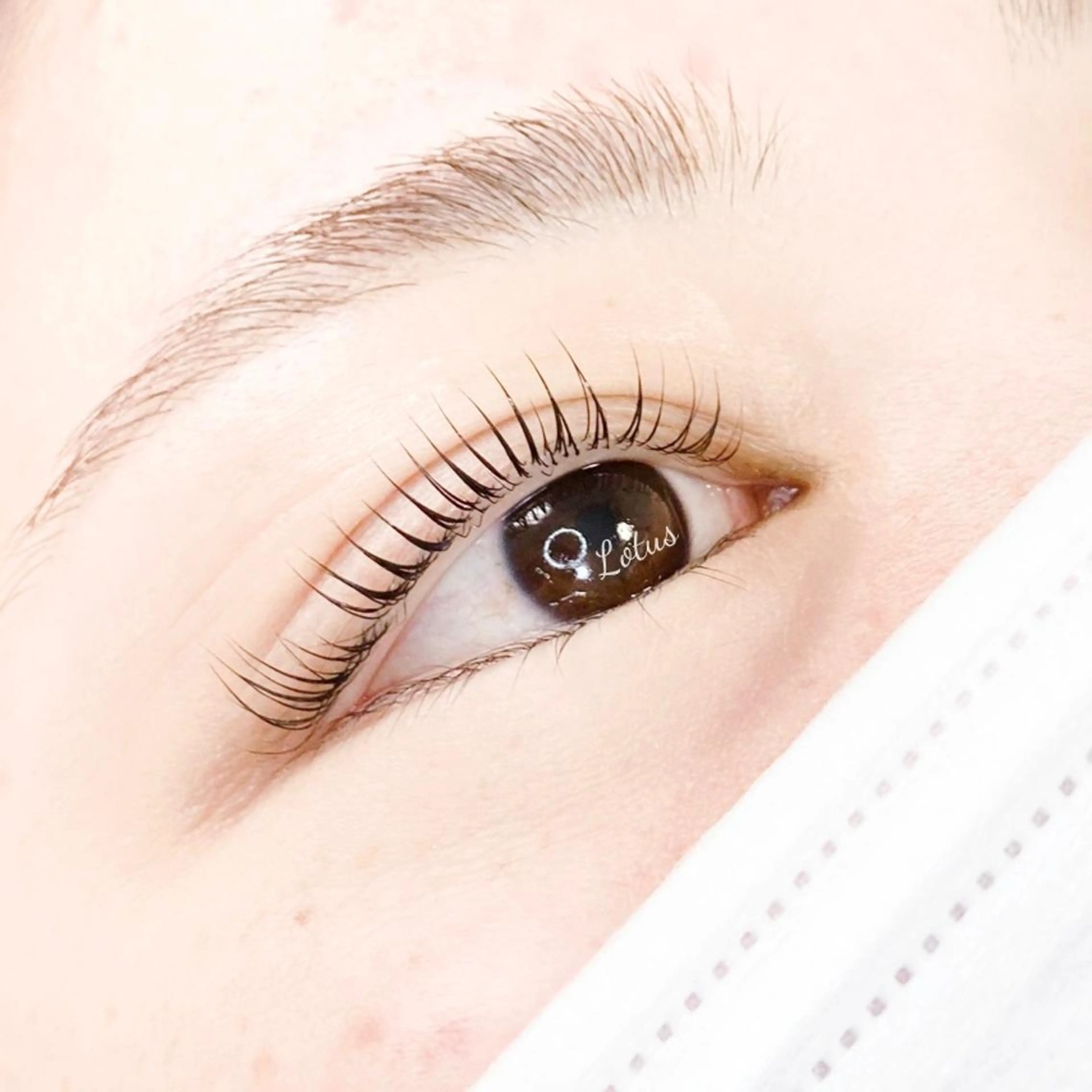 マツエク・マツパ マツパ Lotus所属・Lotus ロータスのマツエク・マツパデザイン