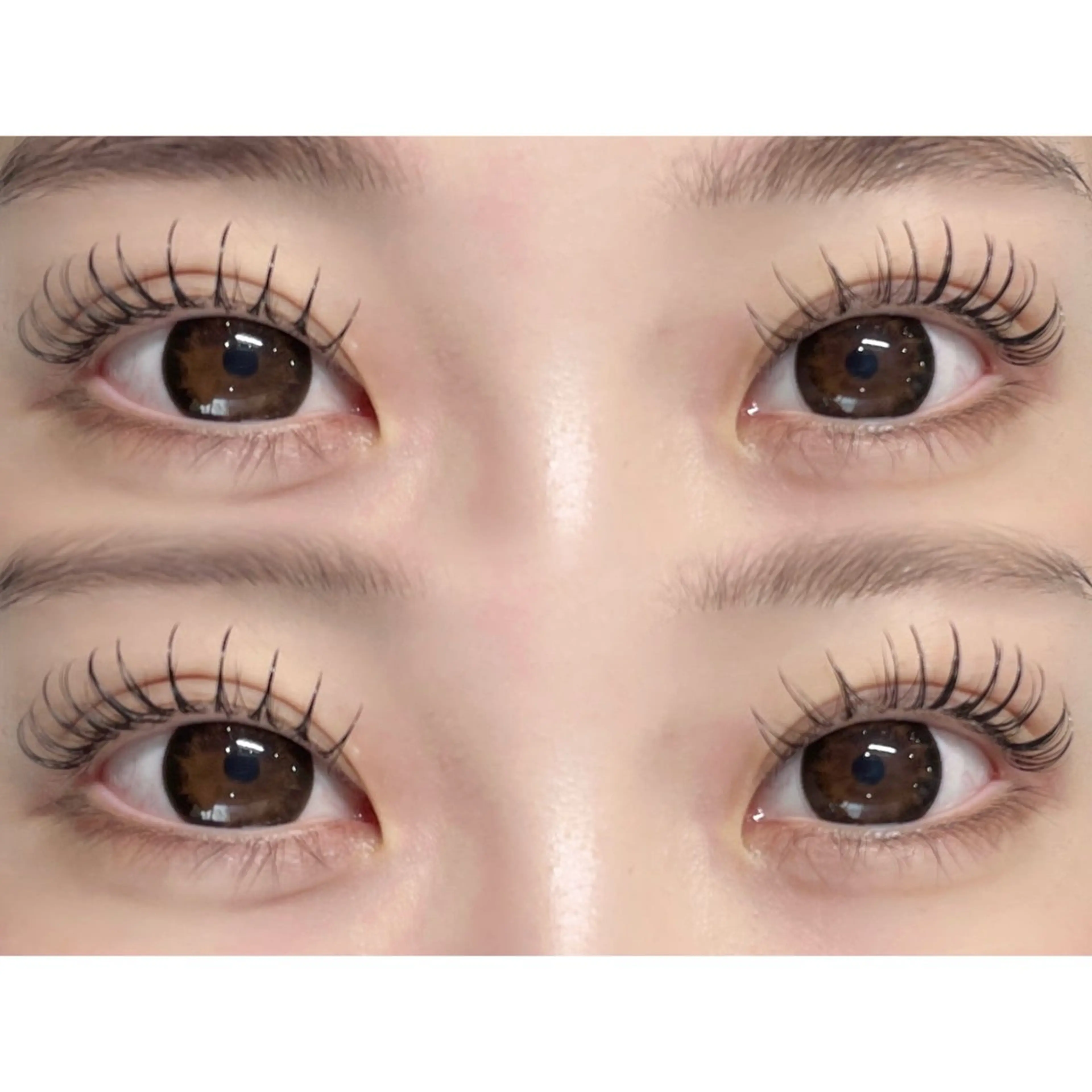 マツエク・マツパ フラットラッシュ パリジェンヌラッシュリフト Babel momokaのマツエク・マツパデザイン