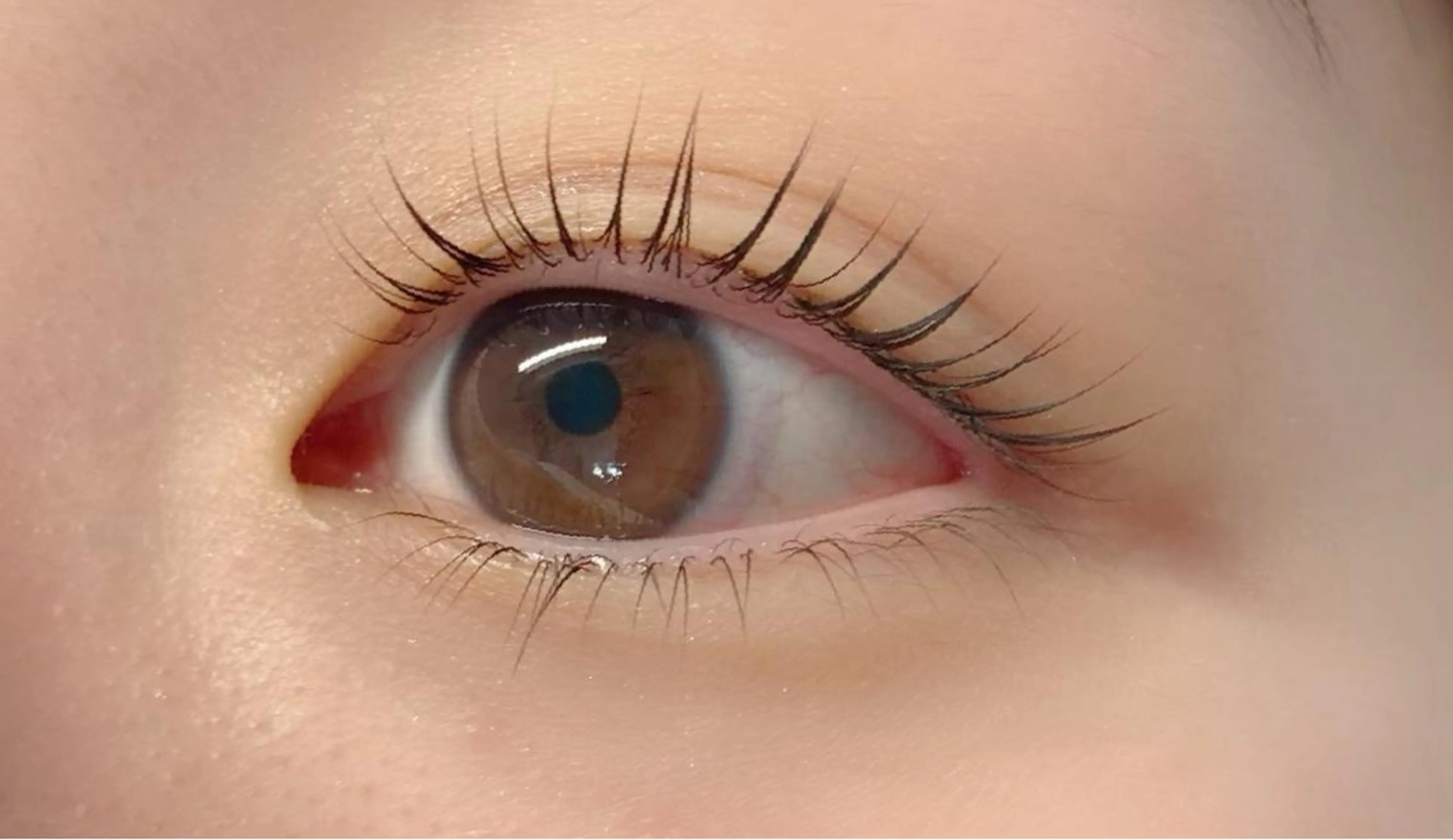 パリジェンヌラッシュリフト(上)※施術前後のお写真撮影にご協力お願い致します🤲の写真