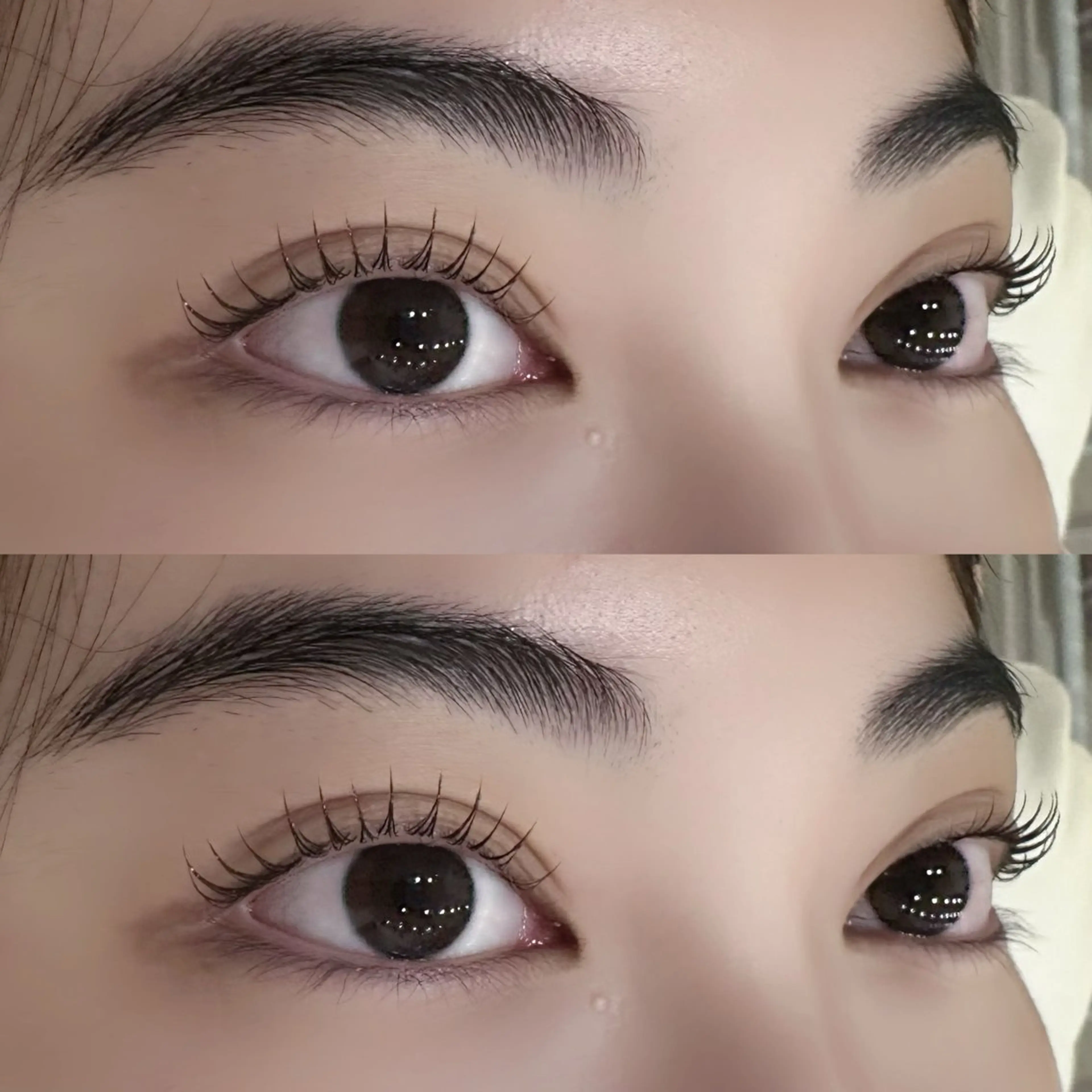 マツエク・マツパ マリーテレジア 🍬KOJIMAのマツエク・マツパデザイン