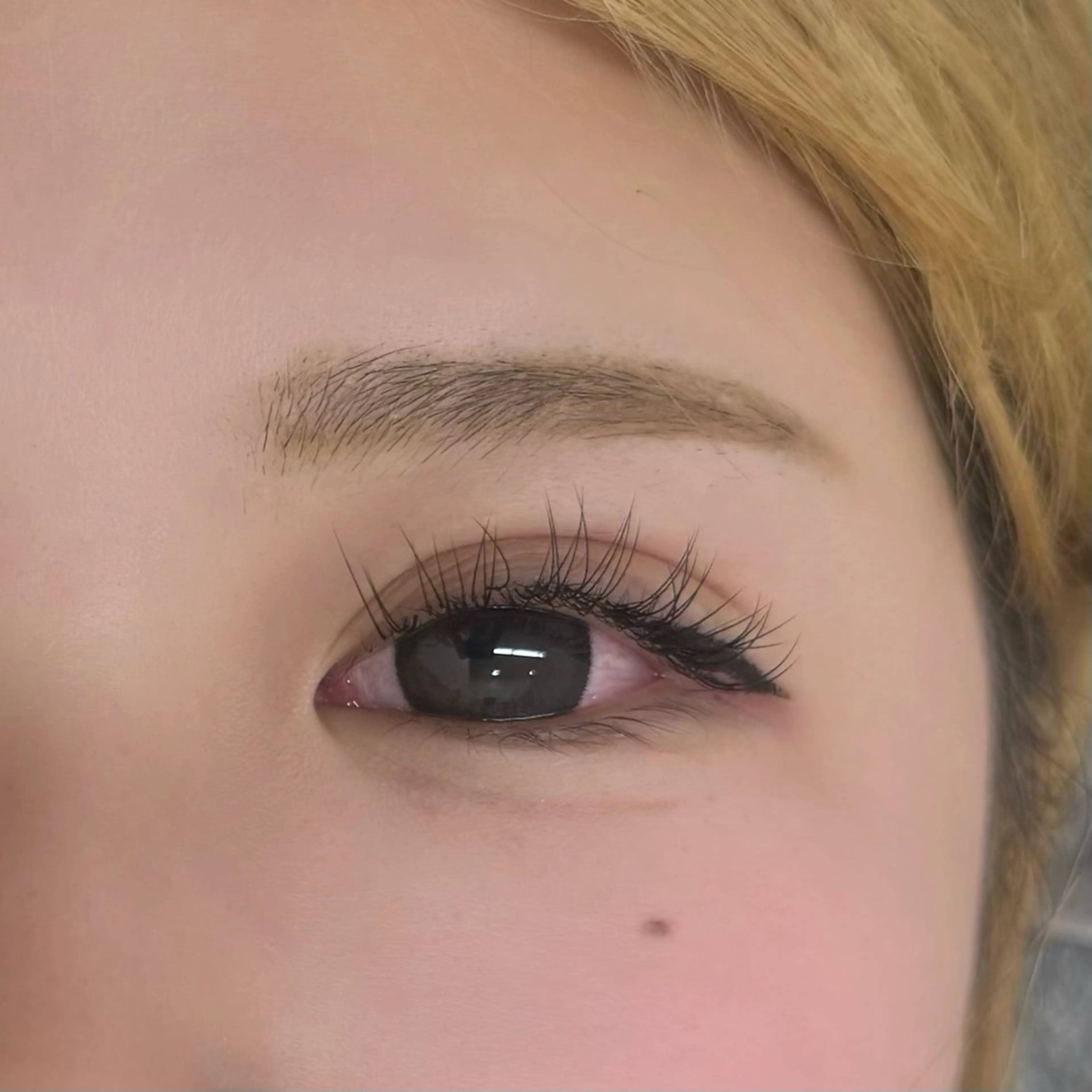 マツエク100本前後🪄の写真