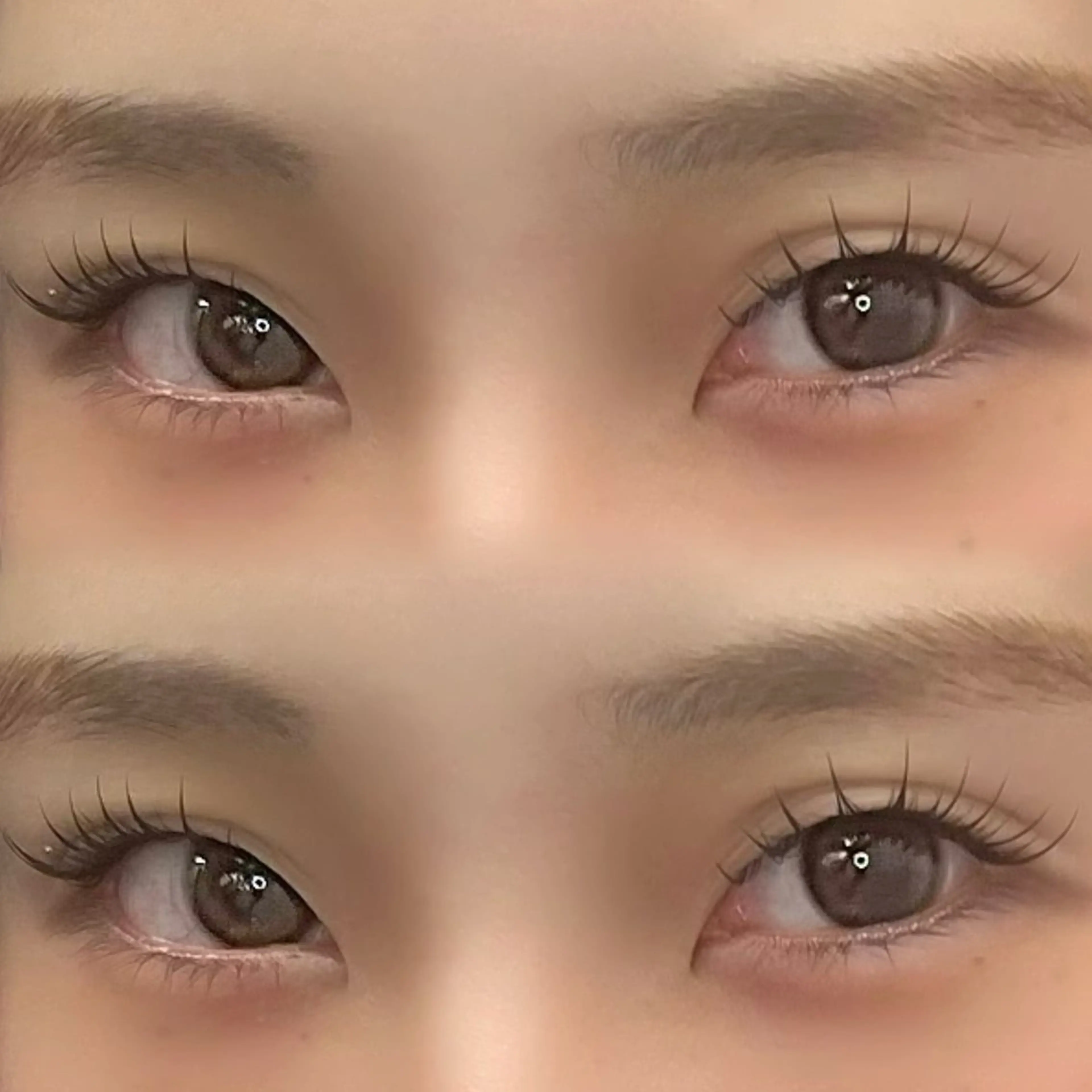 マツエク・マツパ フラットラッシュ パリジェンヌラッシュリフト 🫧SiS_茅ヶ崎/ セトハルカ🫧の眉毛・アイブロウイメージ