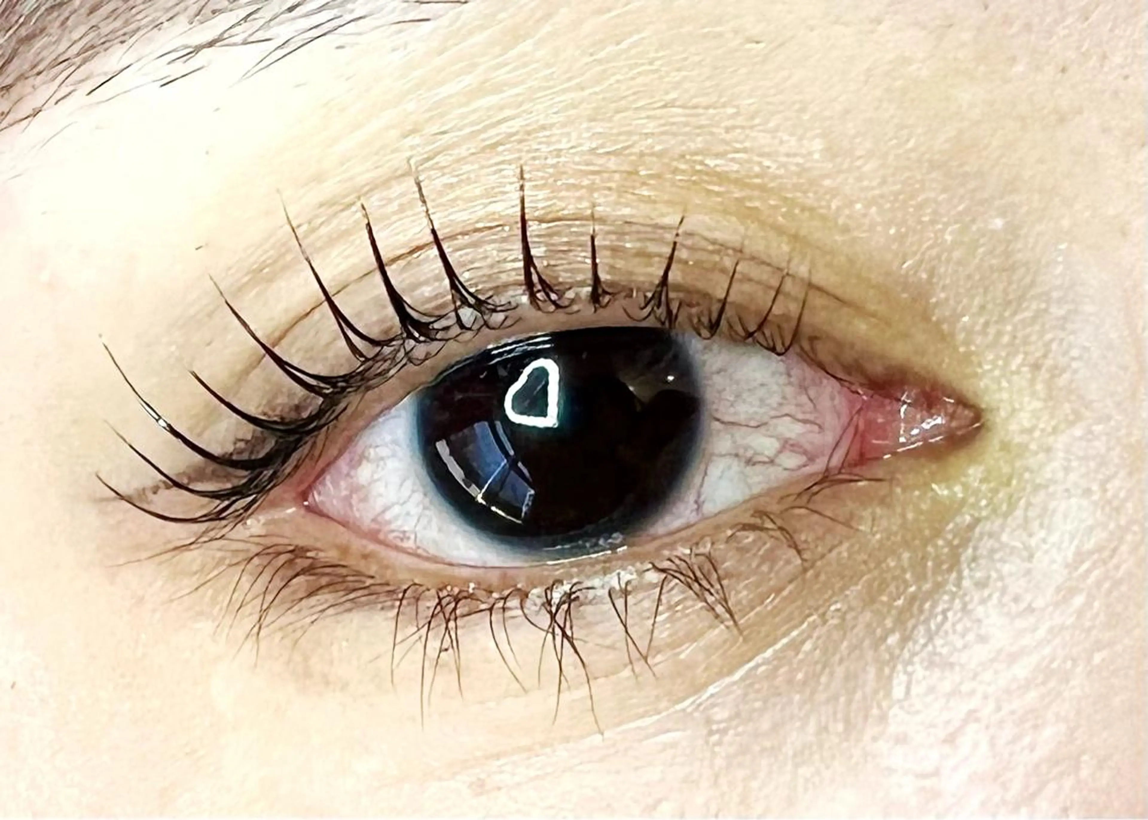 マツエク・マツパ Celeste Venus所属・🧸Celeste Venusのマツエク・マツパデザイン