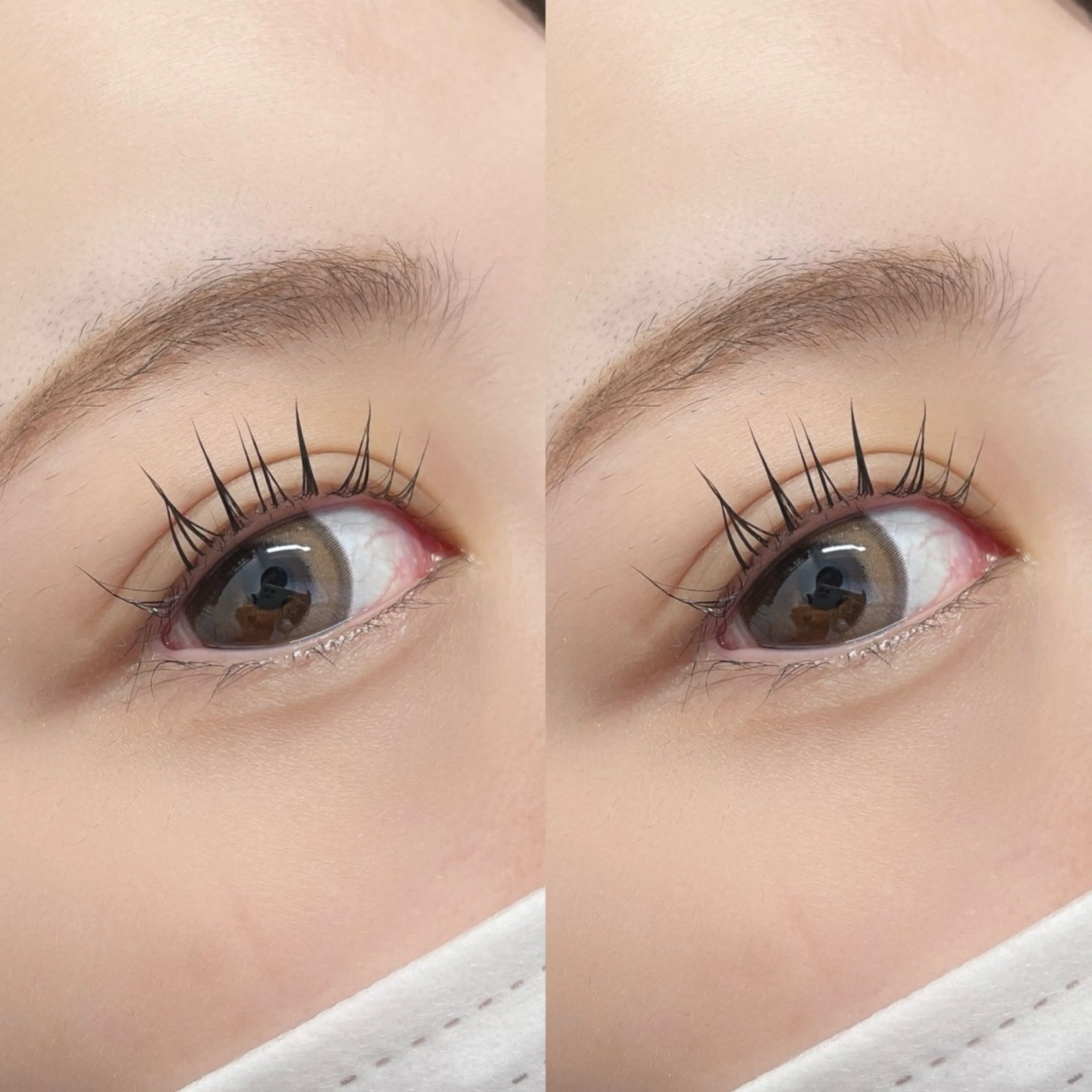 【12月平日インスタフォロー済み限定クーポン】まつ毛パーマ＋全体トリートメントの写真