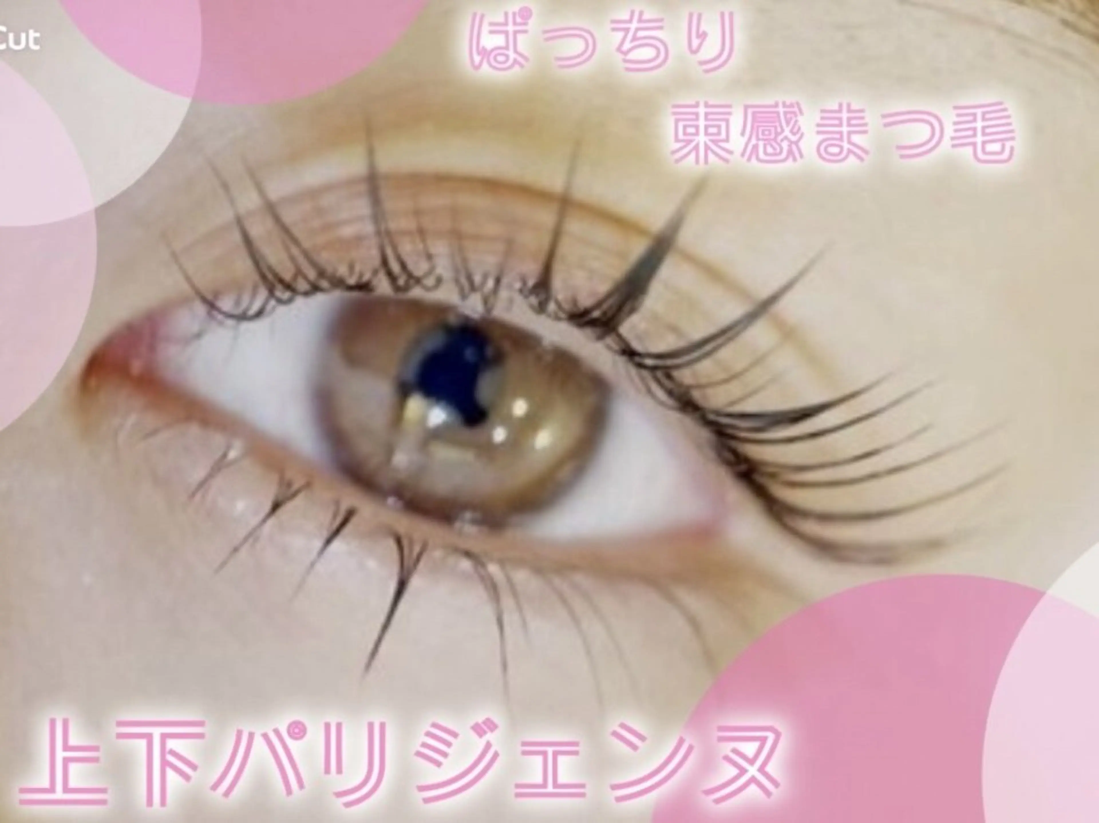 ［９月限定］下まつ毛パーマの写真