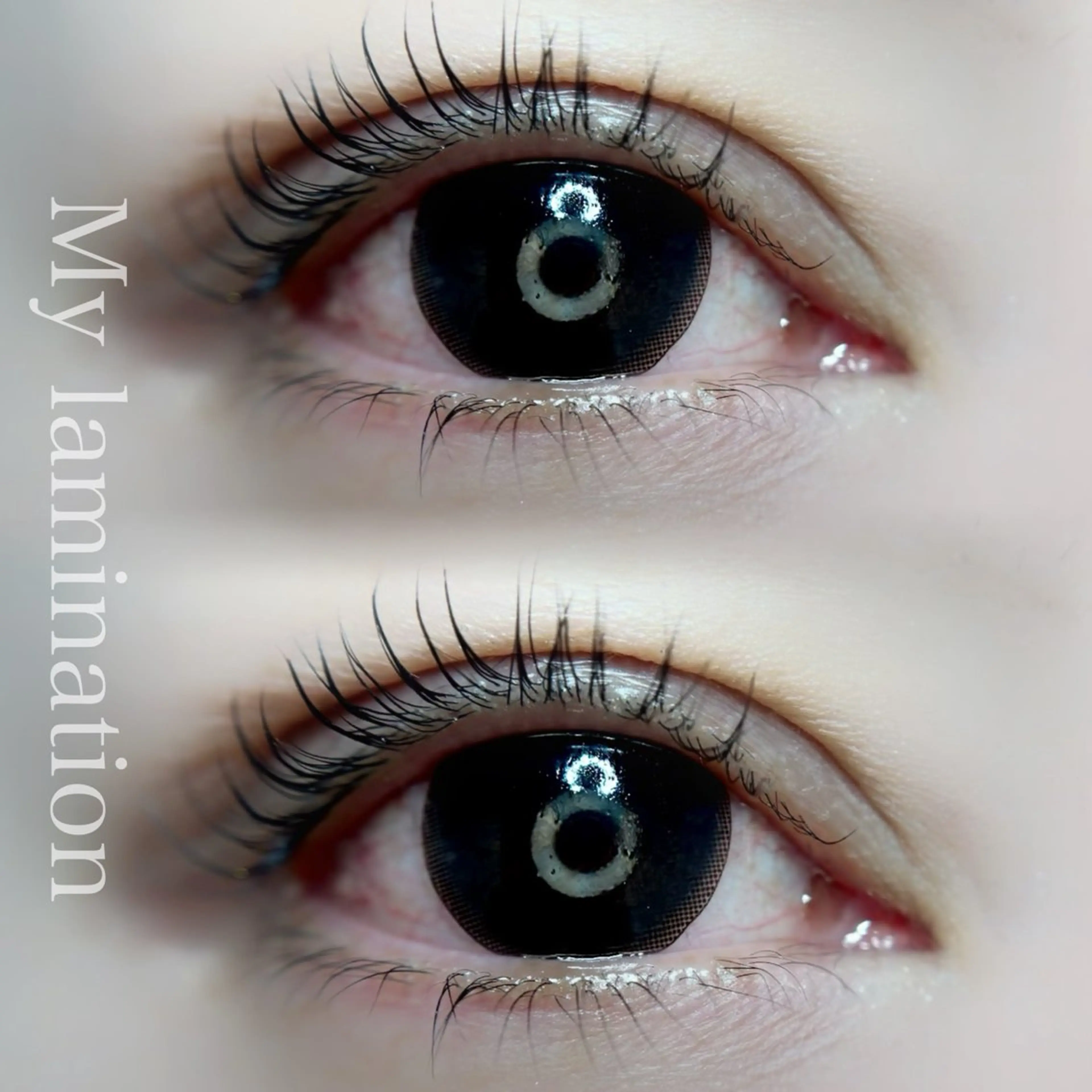 ご新規様限定🫧上下まつ毛パーマ(上下両方マイラミネーション)13200円→9900円🌟の写真