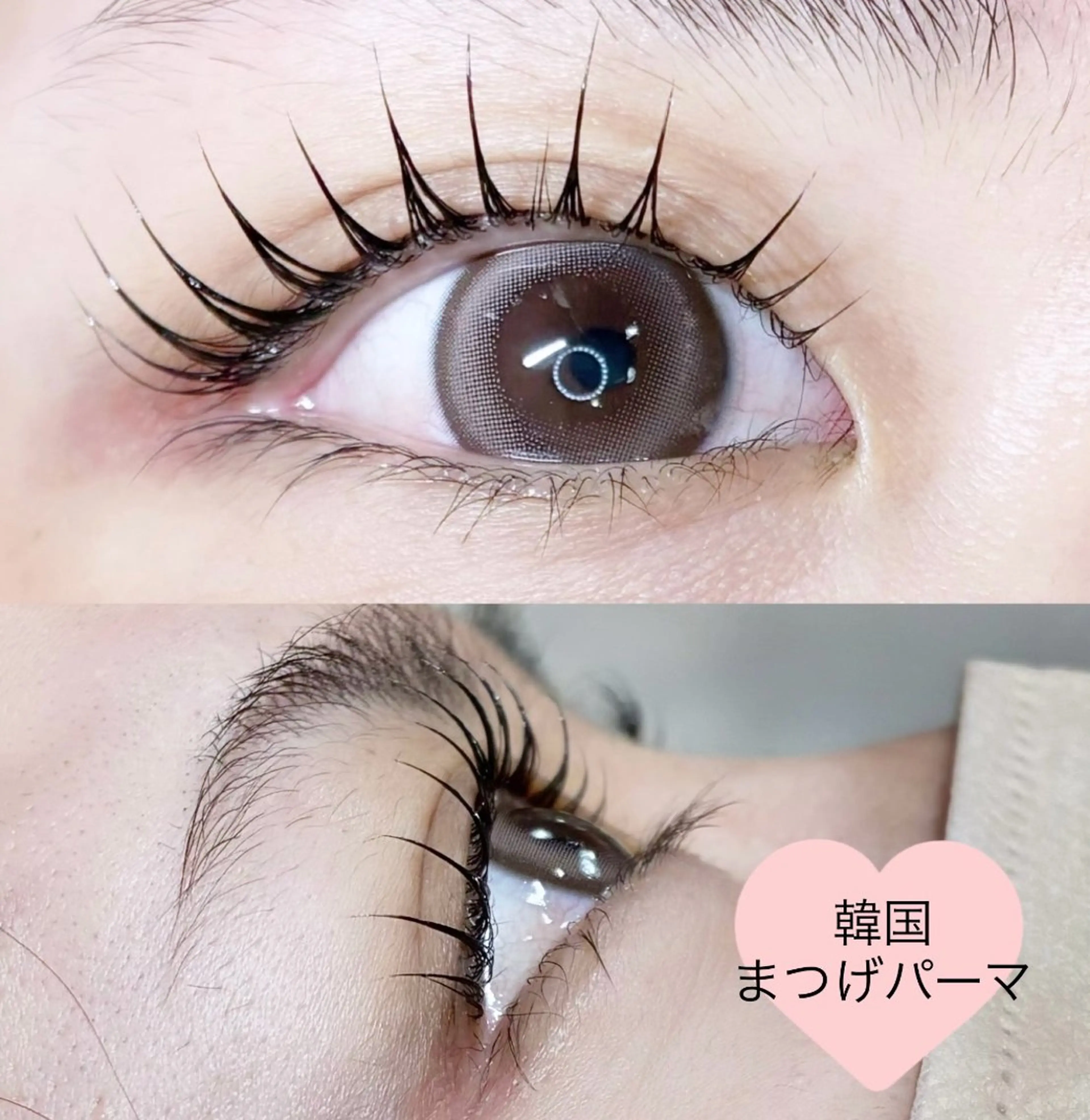 マツエク・マツパ LEDエクステ専門店 Fedis 京橋のマツエク・マツパデザイン