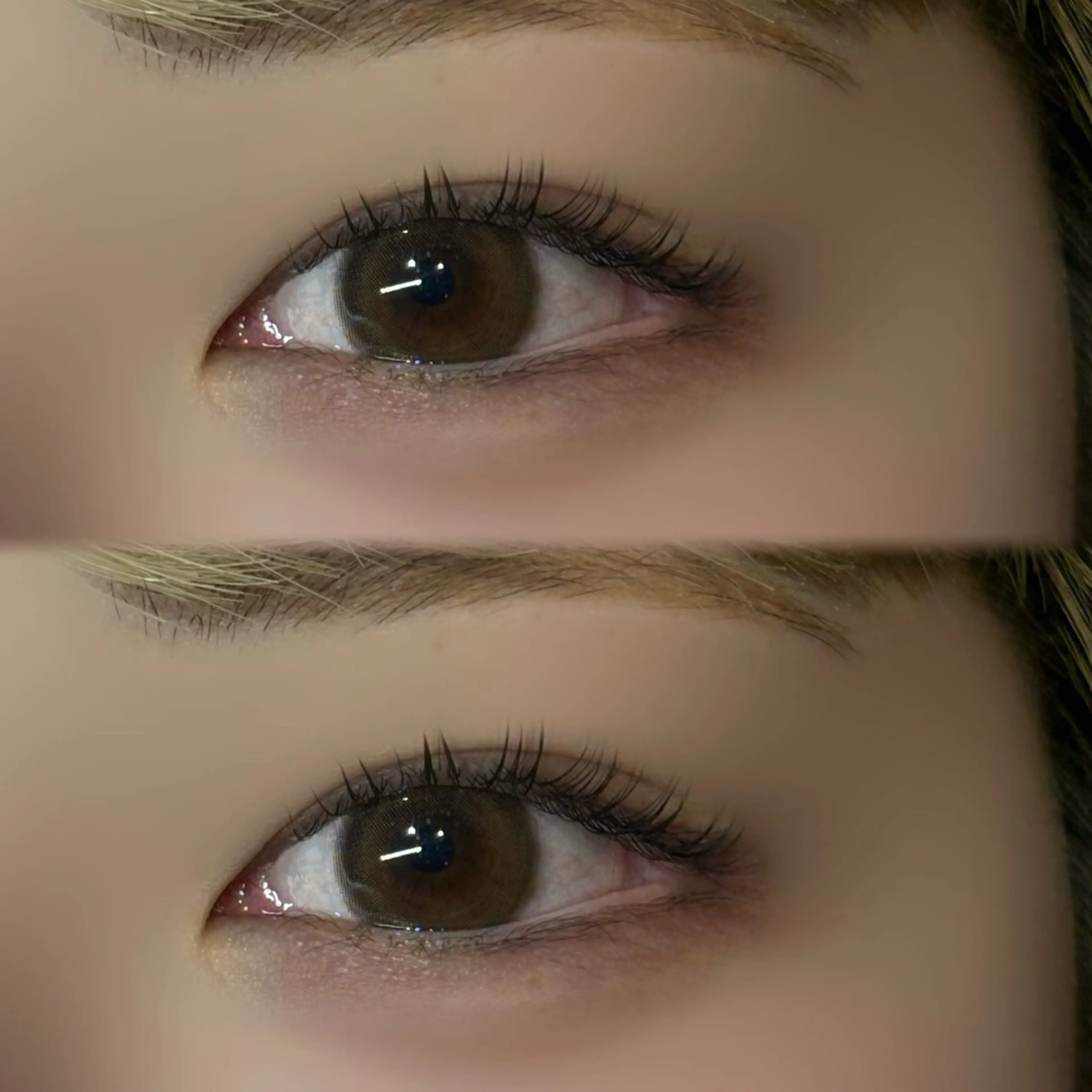 ケラチンラッシュリフト 《予約リクエスト必須》 《練習モデル》の写真