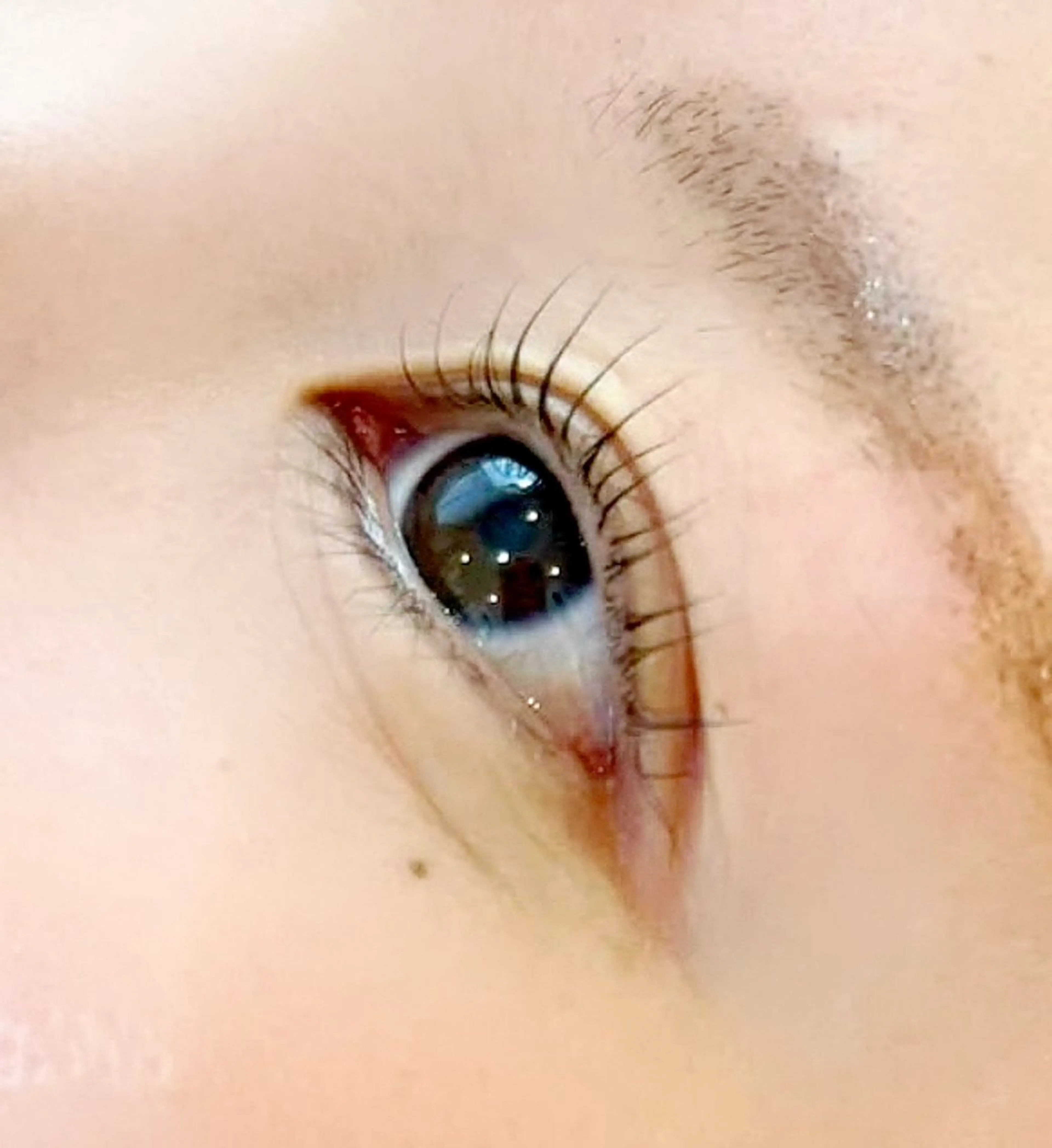 【 再来 】次世代まつげパーマ◎パリジェンヌラッシュリフト🤍の写真