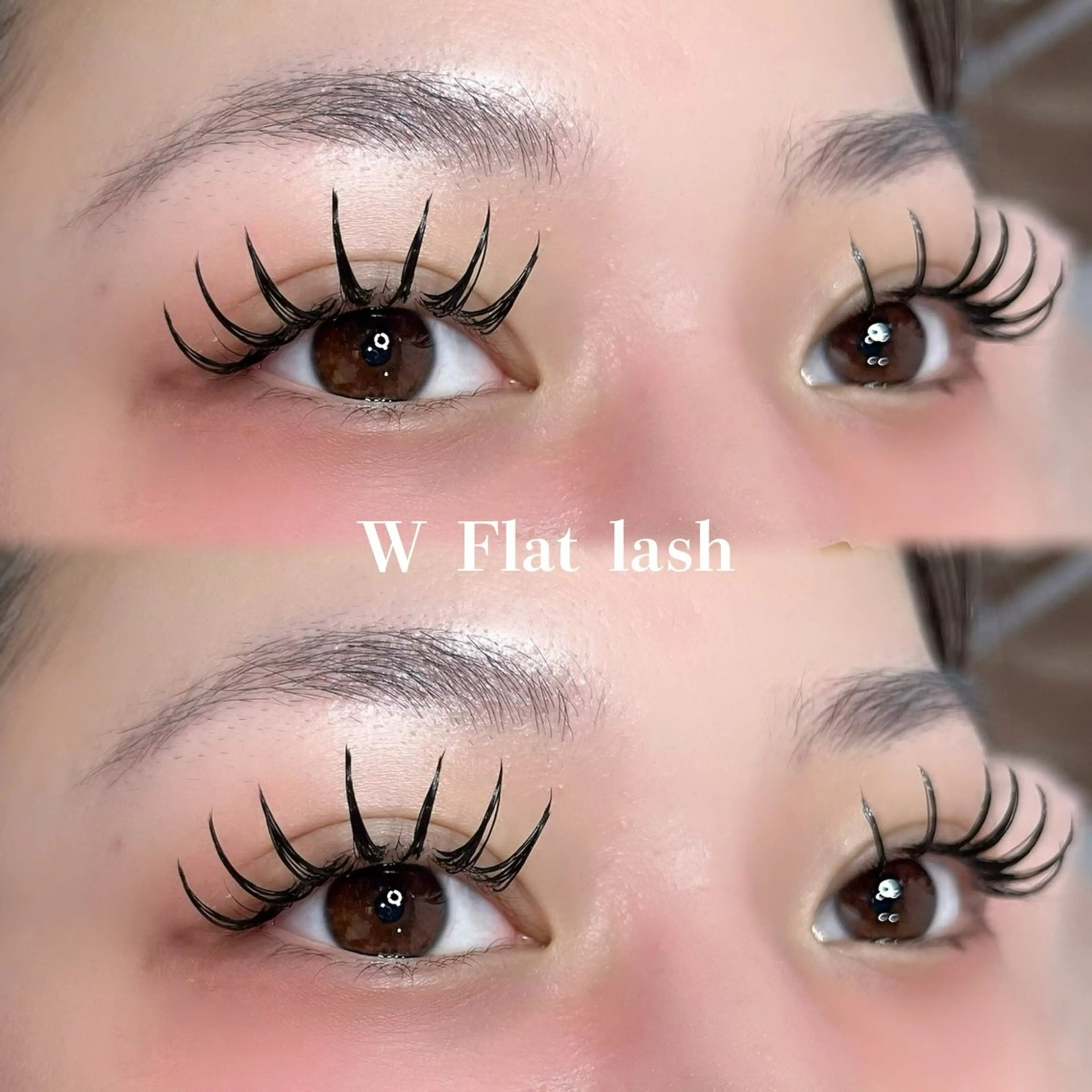 【持続力UP💙】Ｗフラットラッシュ 60束まで￥6600   （他店・自店オフ込み）の写真