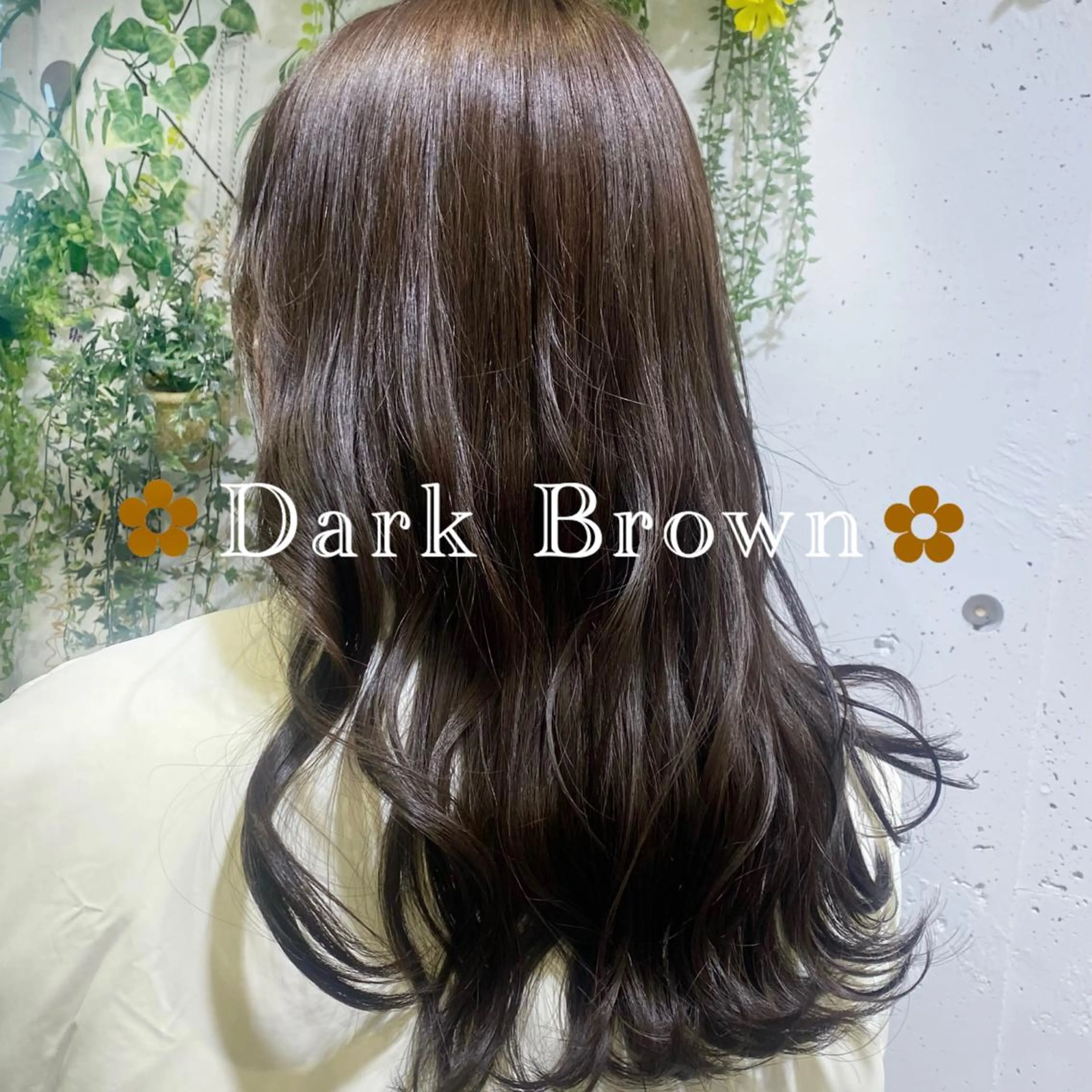 ロング カラー ヘアアレンジ ブラウンカラー 透明感カラー ダークブラウン 🌼NAMI 🌼のヘアスタイル